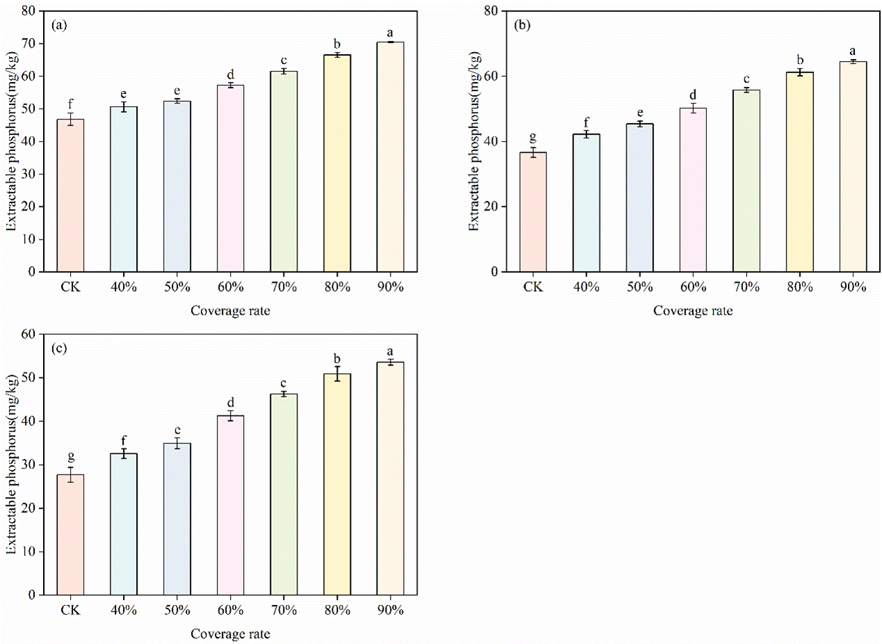 Sustainability 13 11026 g009
