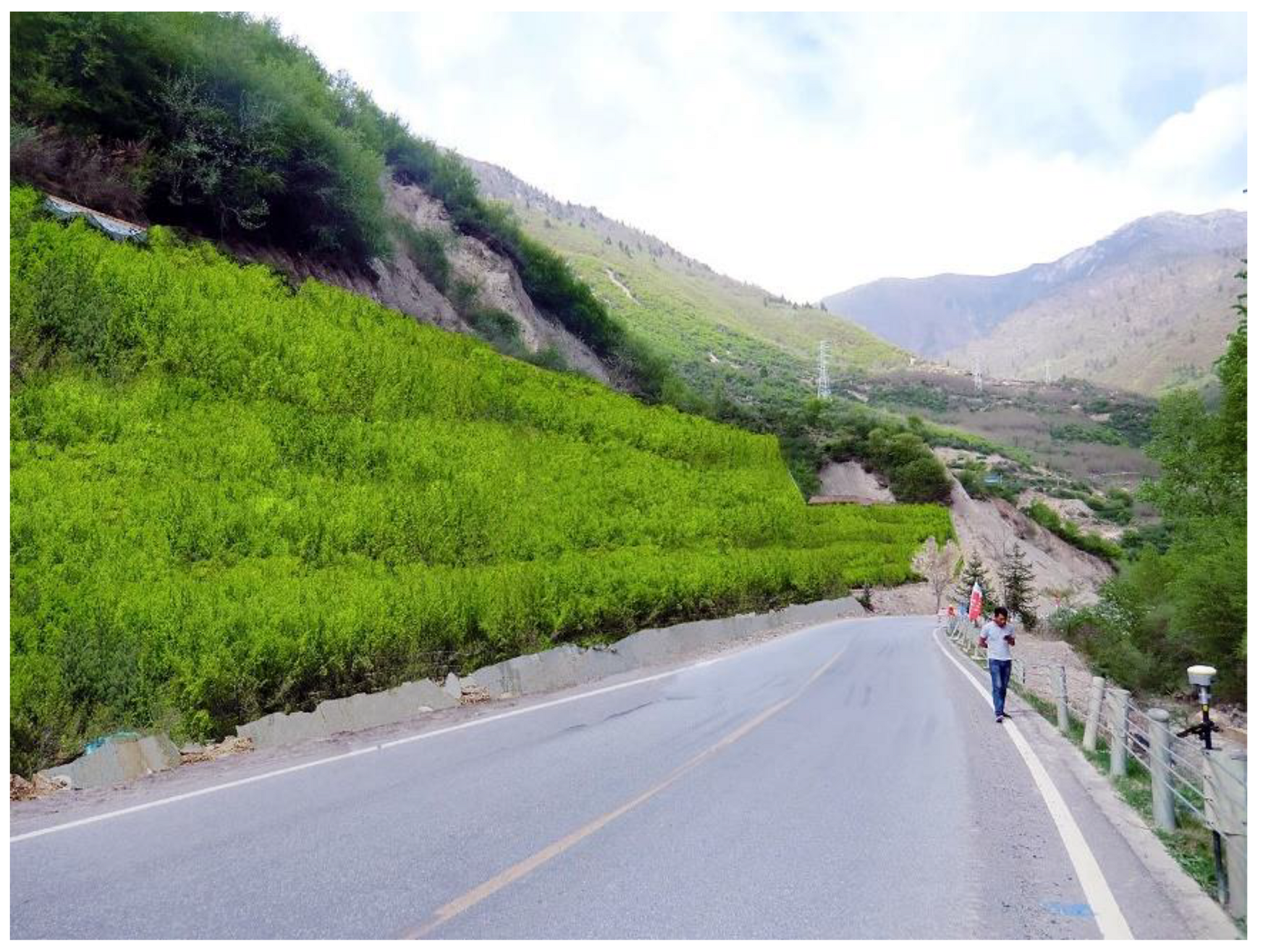 Sustainability 13 11026 g011