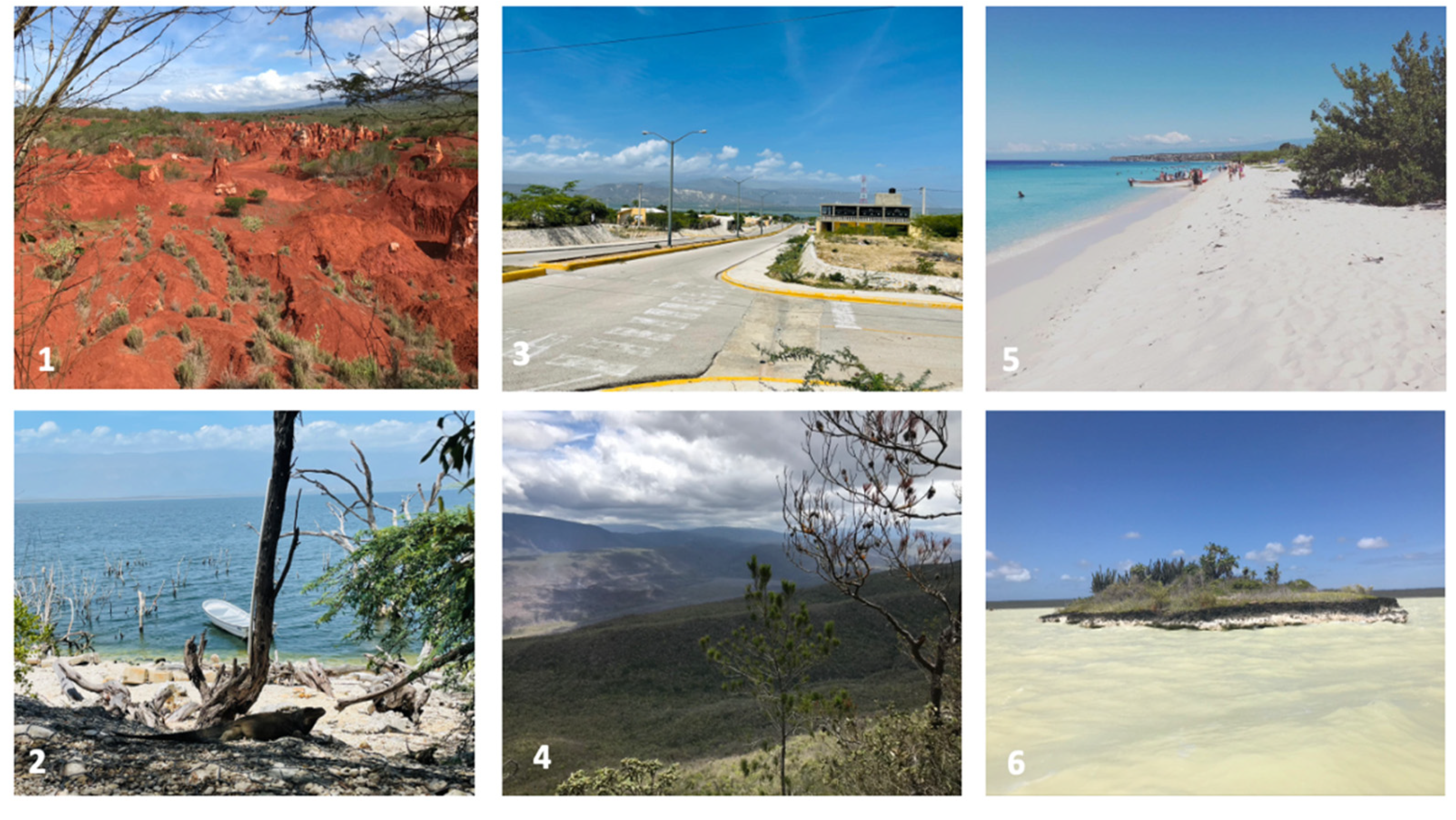 Sustainability 13 11030 g002