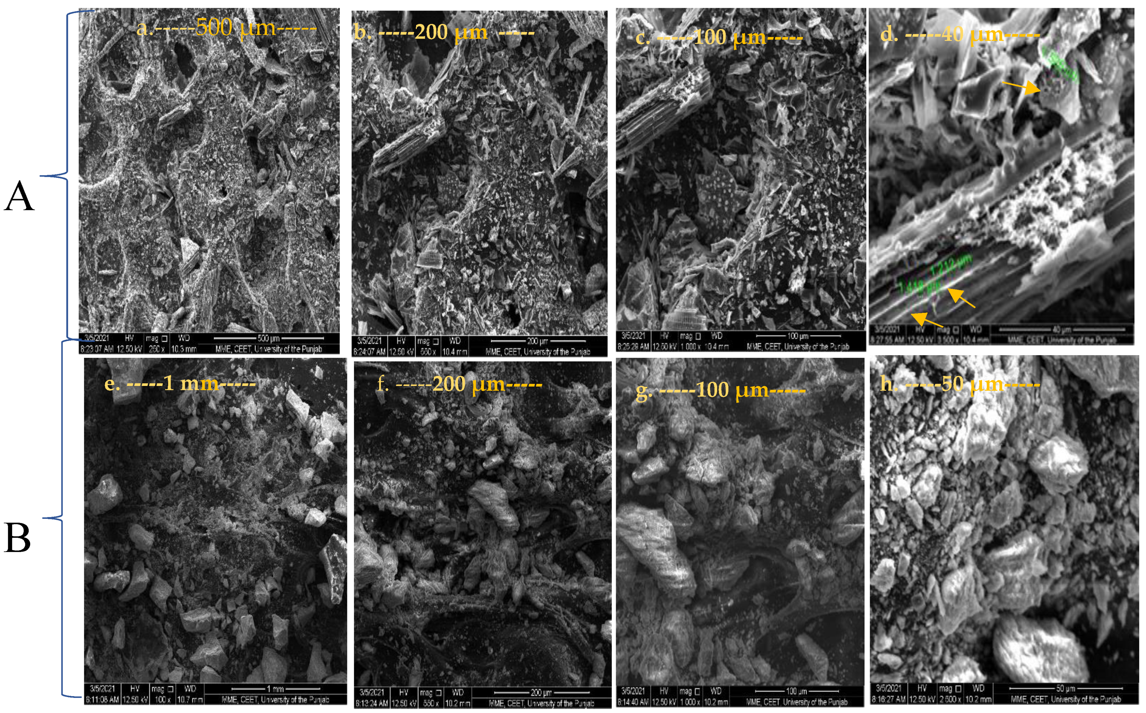 Sustainability 13 11104 g001