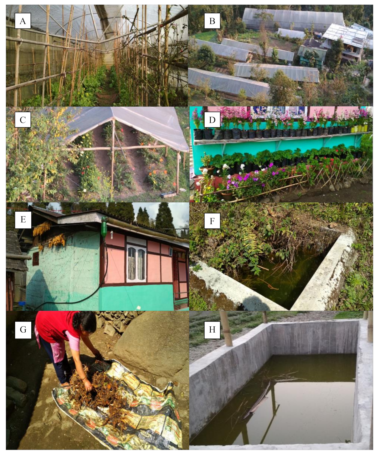 Sustainability 13 11112 g003