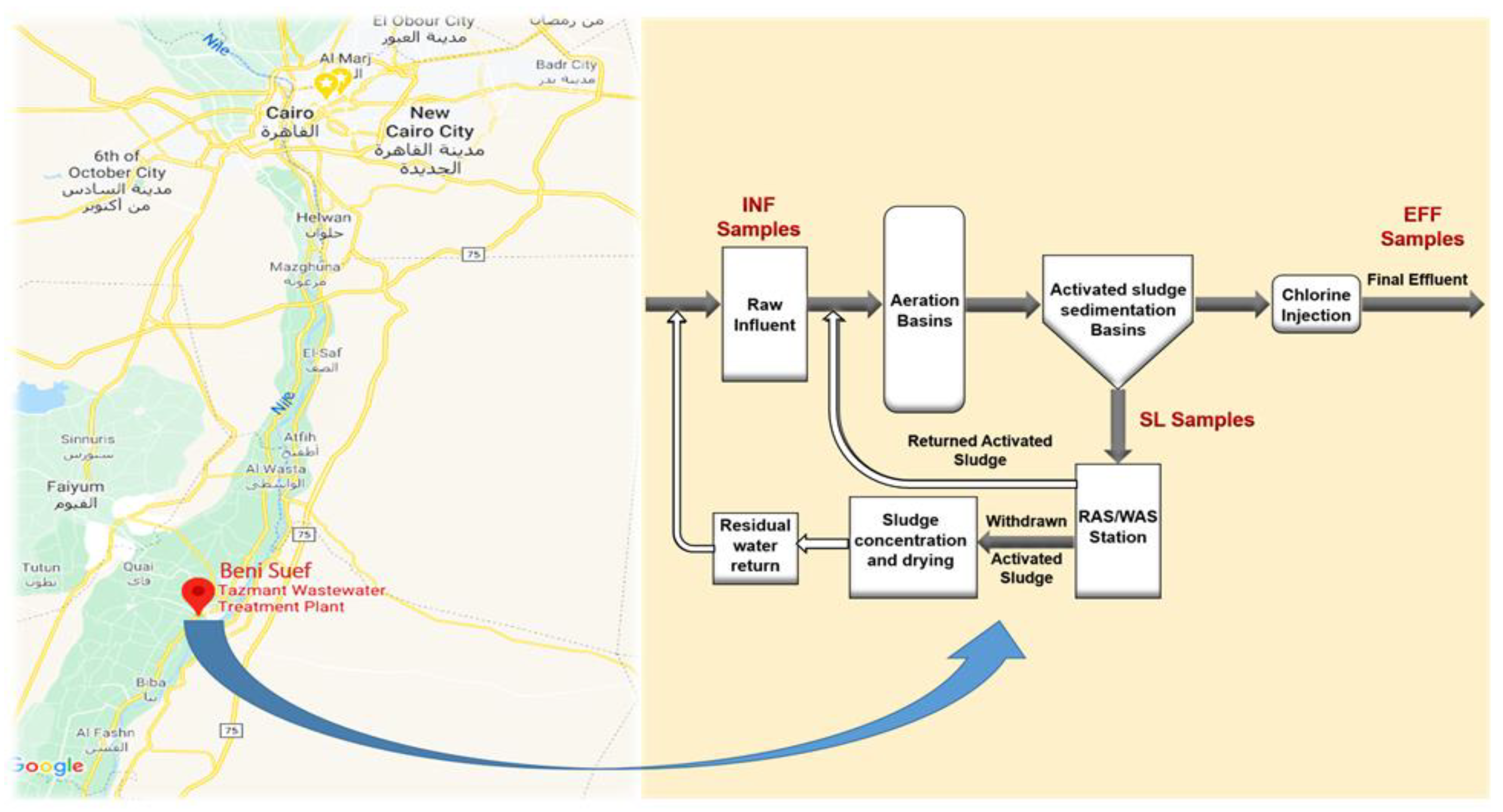 Sustainability 13 11131 g001