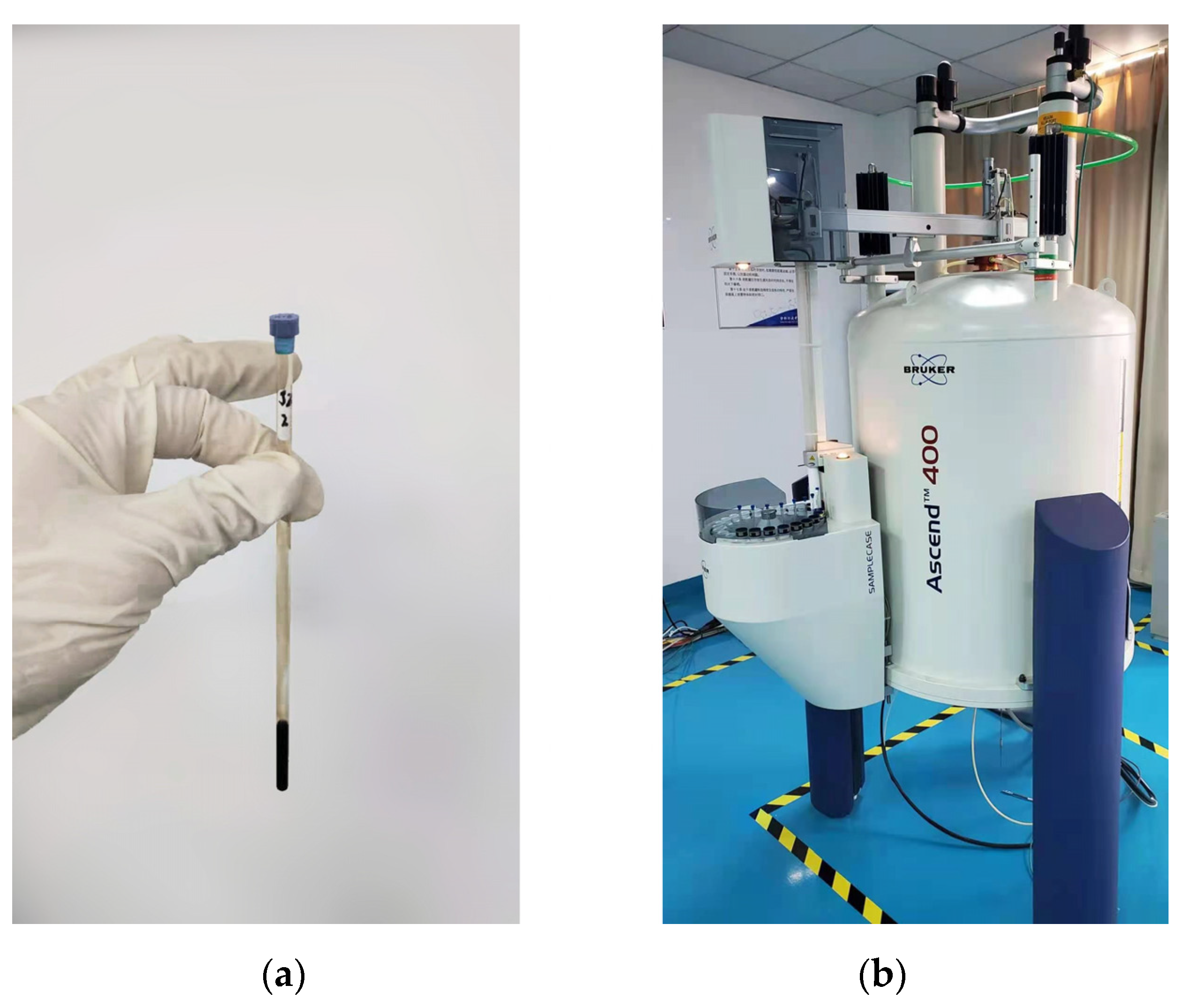 Sustainability 13 11173 g002