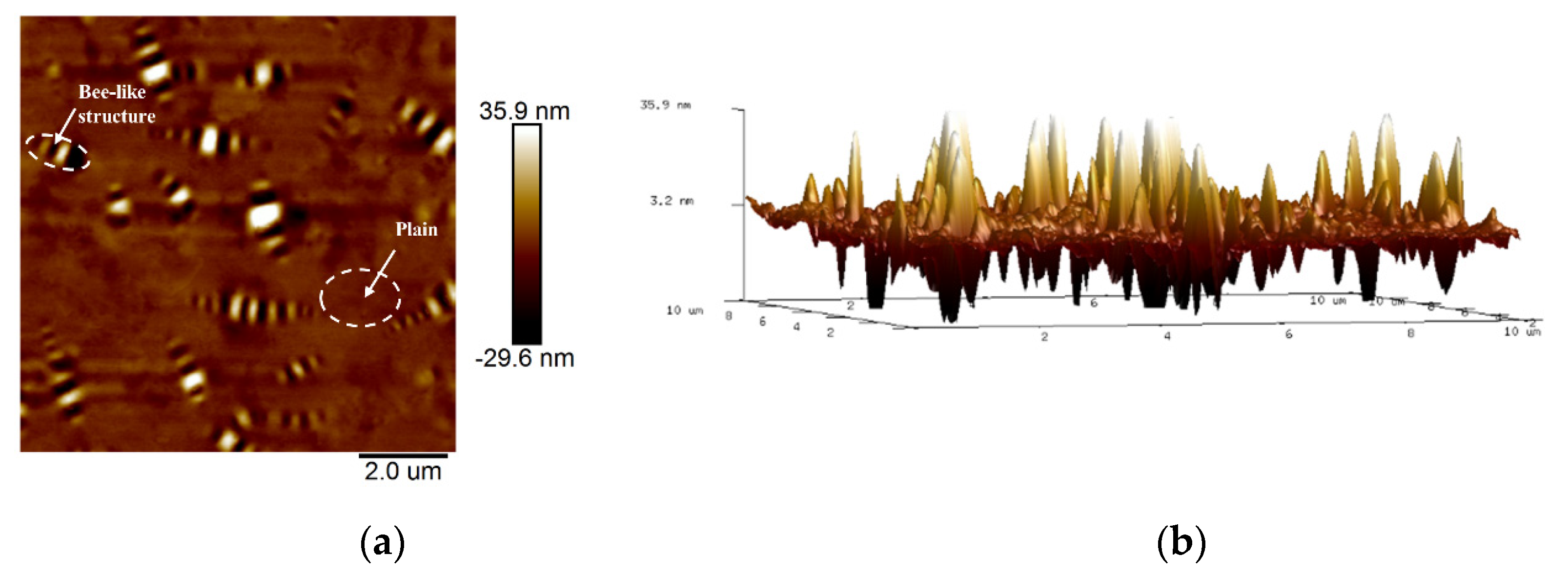 Sustainability 13 11173 g004
