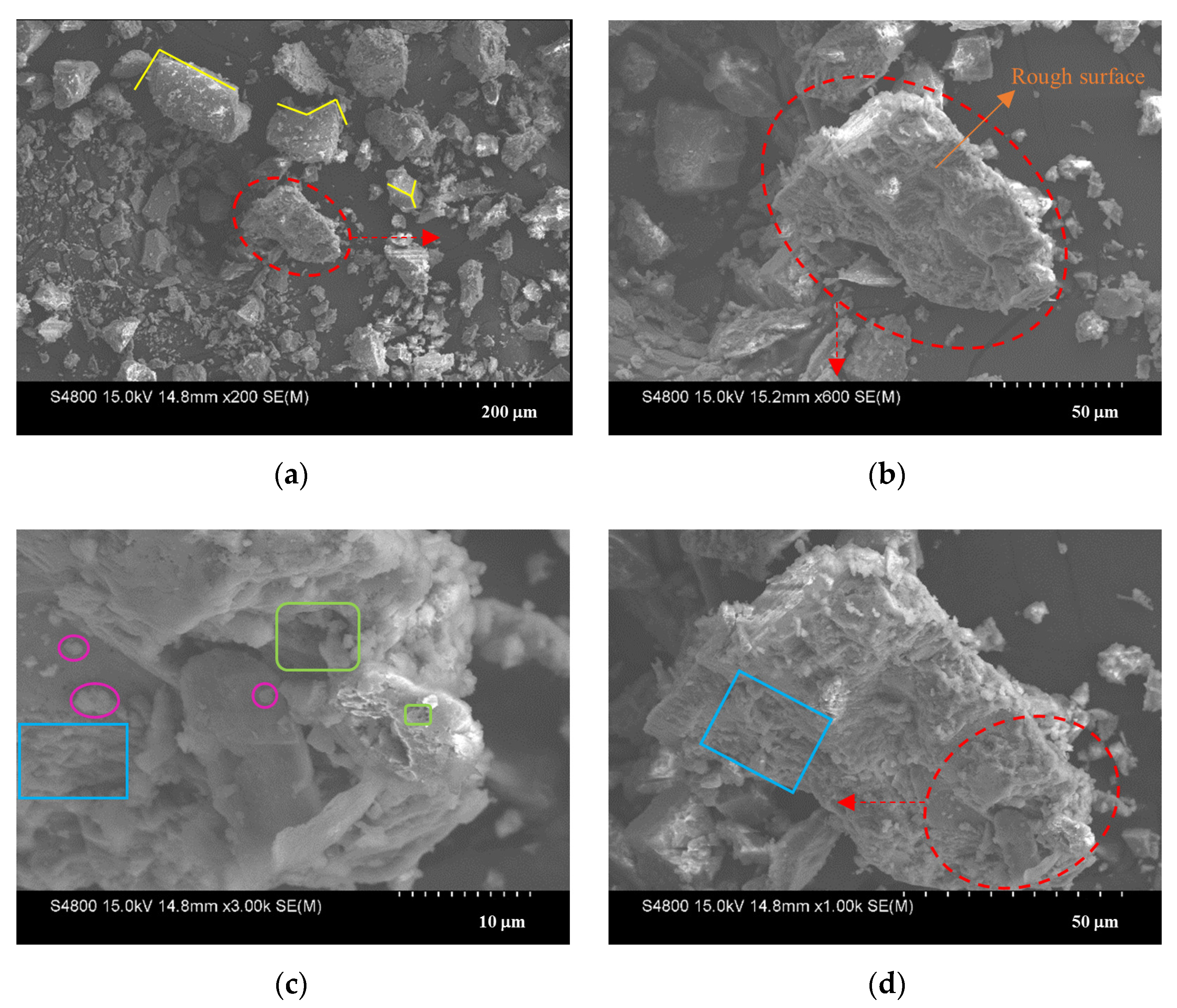 Sustainability 13 11173 g008