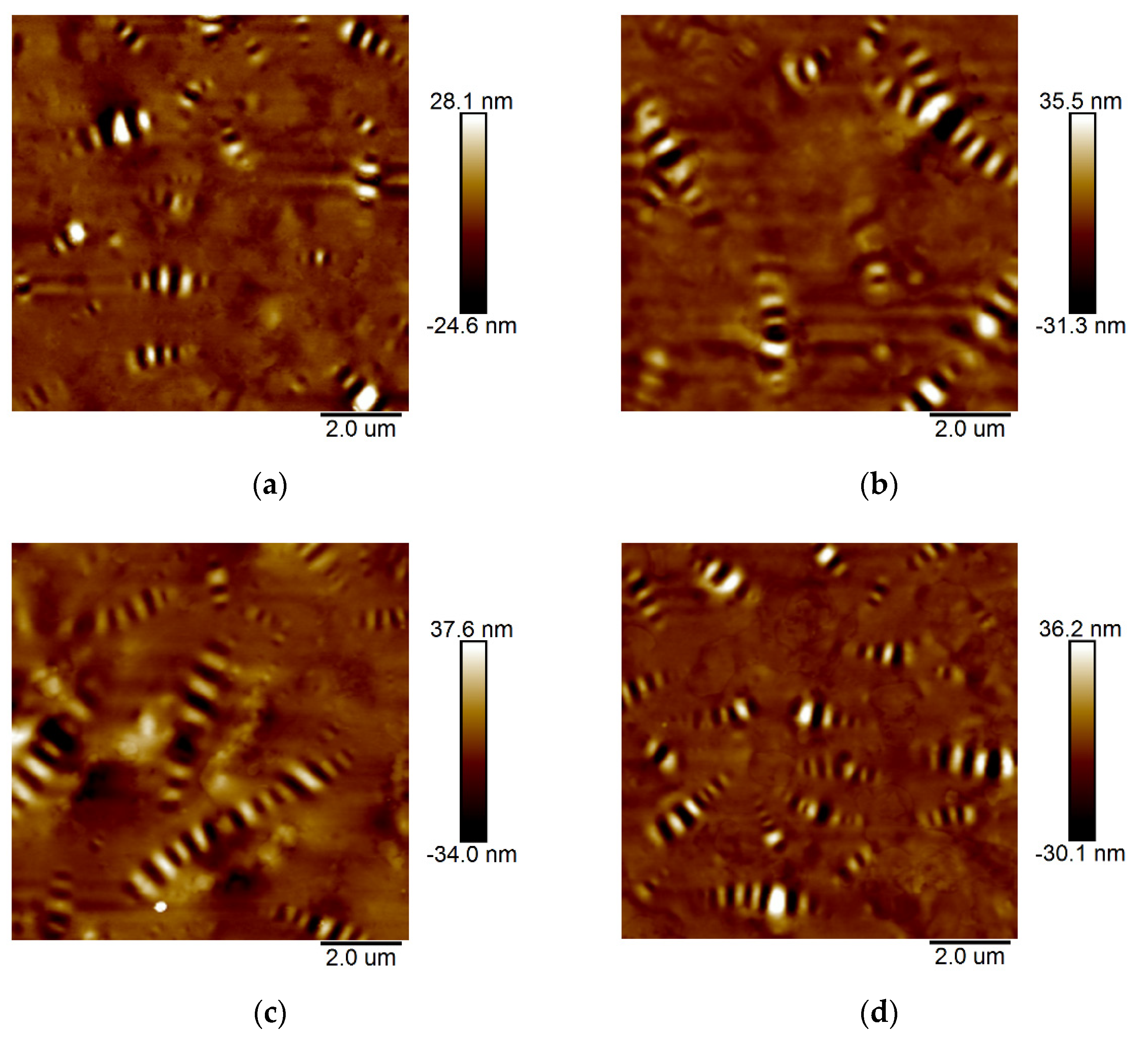 Sustainability 13 11173 g009