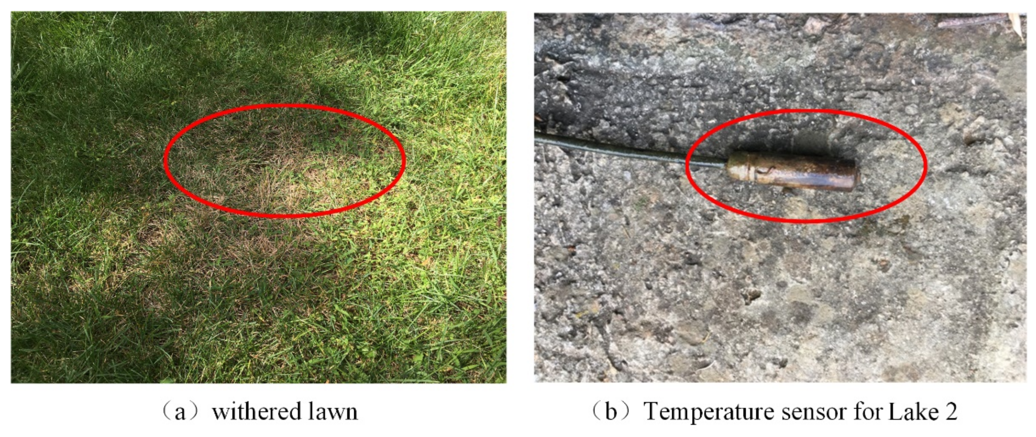 Sustainability 13 11203 g010