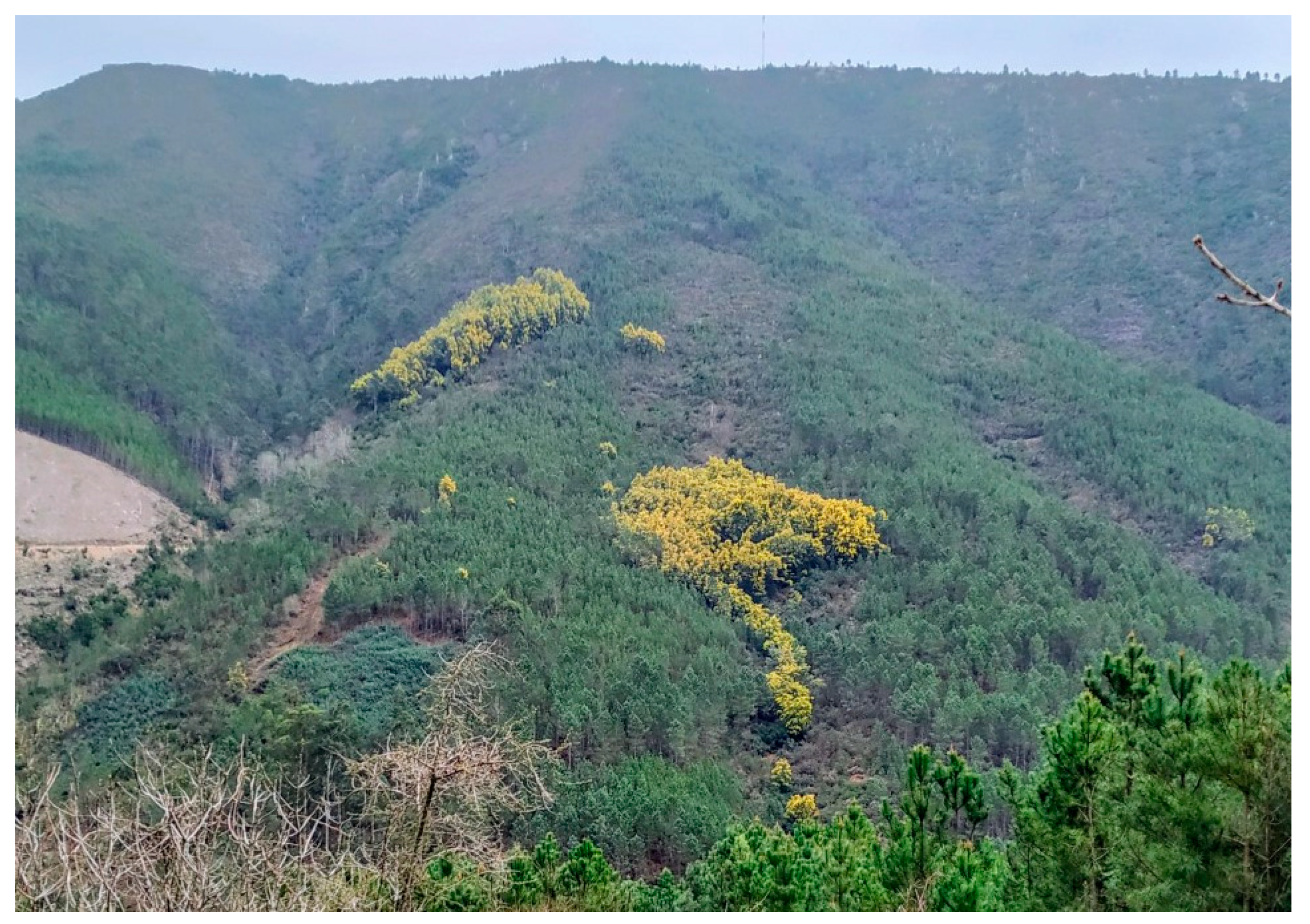 Sustainability 13 11233 g002 550