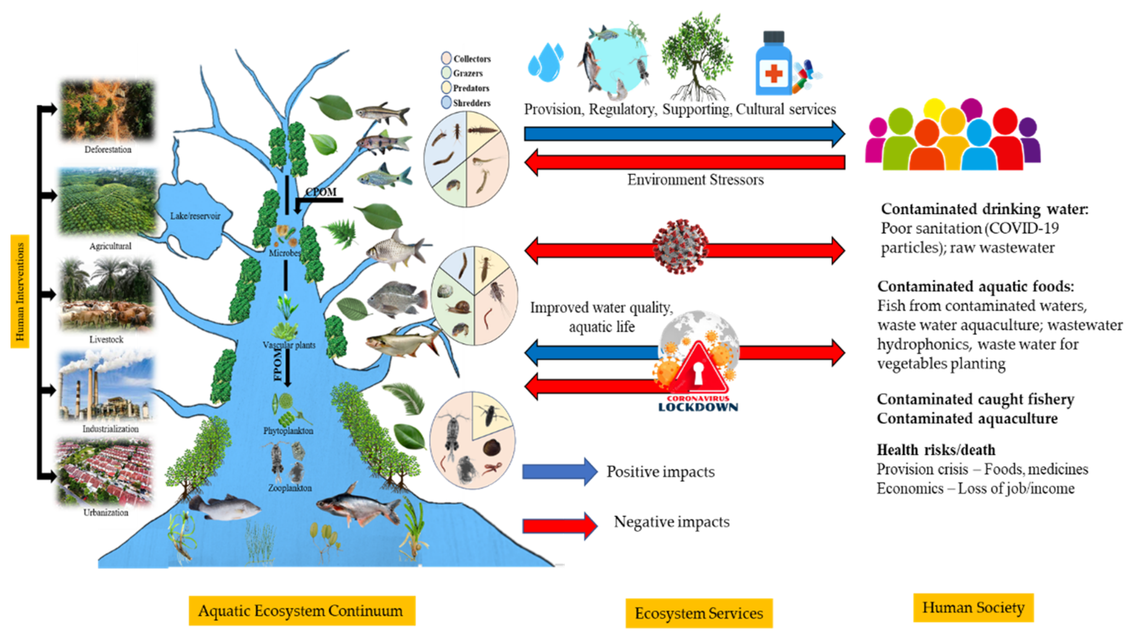 Sustainability 13 11281 g002