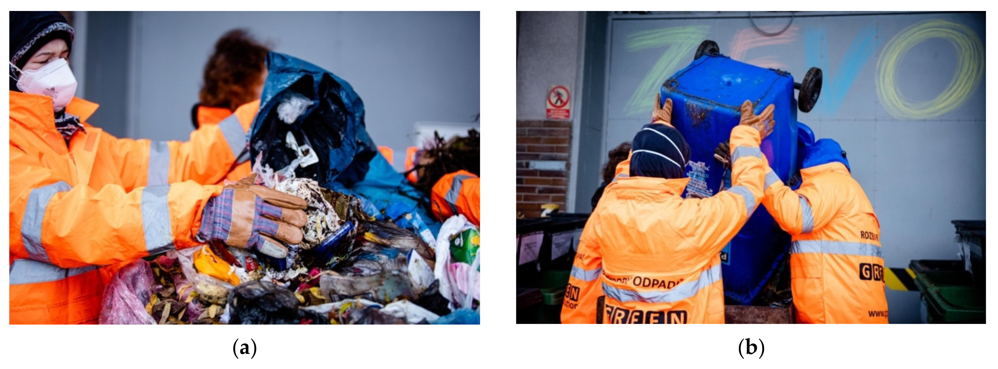 Sustainability 13 11311 g001