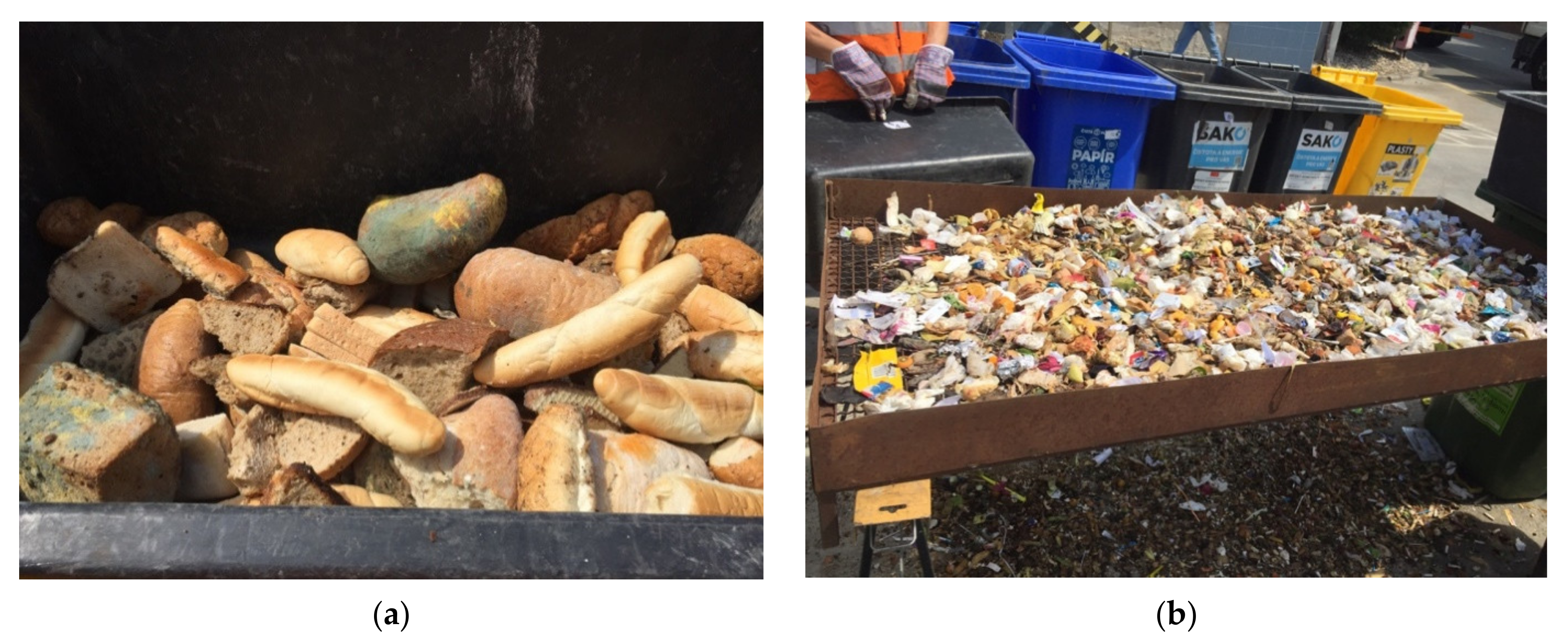 Sustainability 13 11311 g005