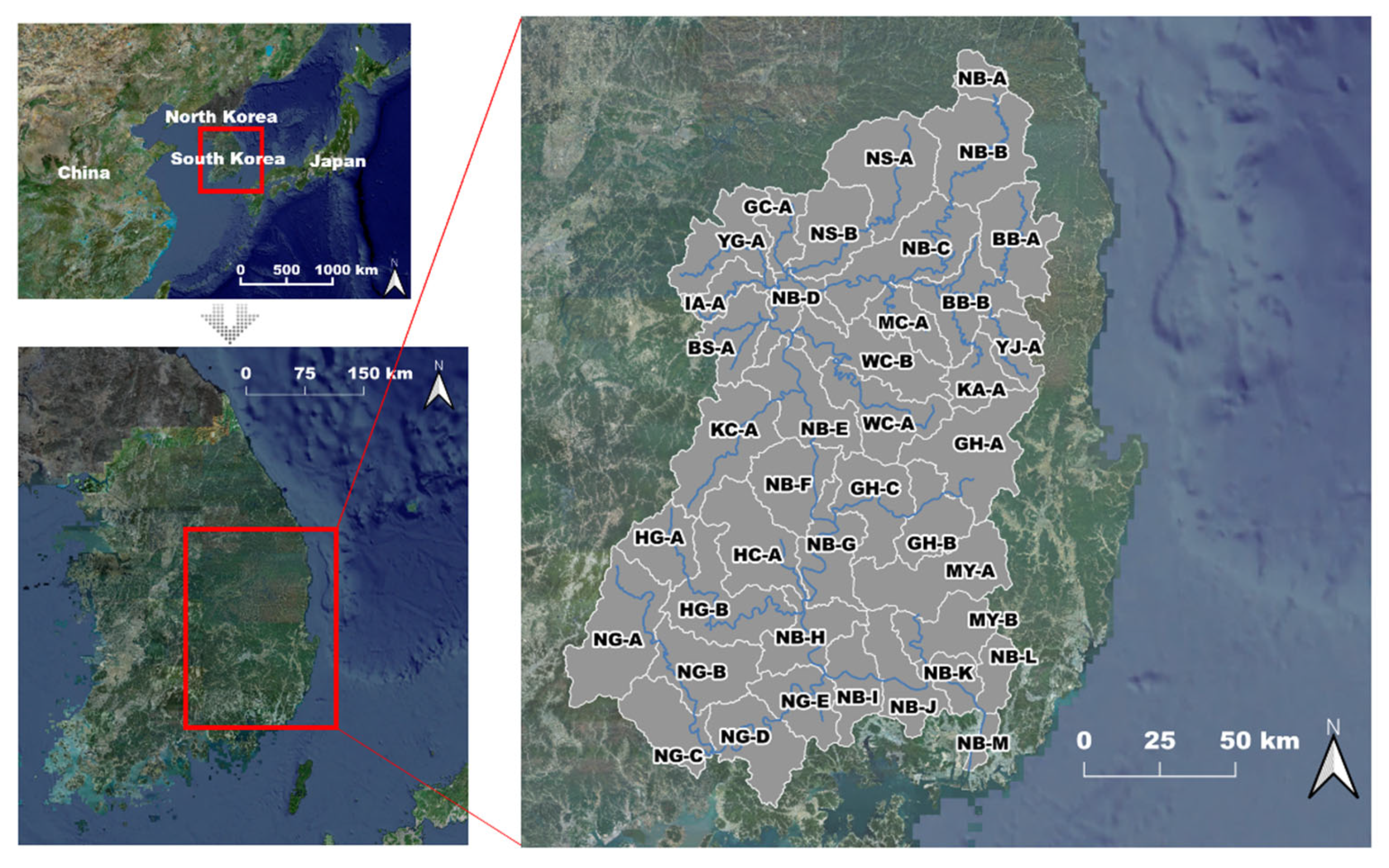Sustainability 13 11319 g001