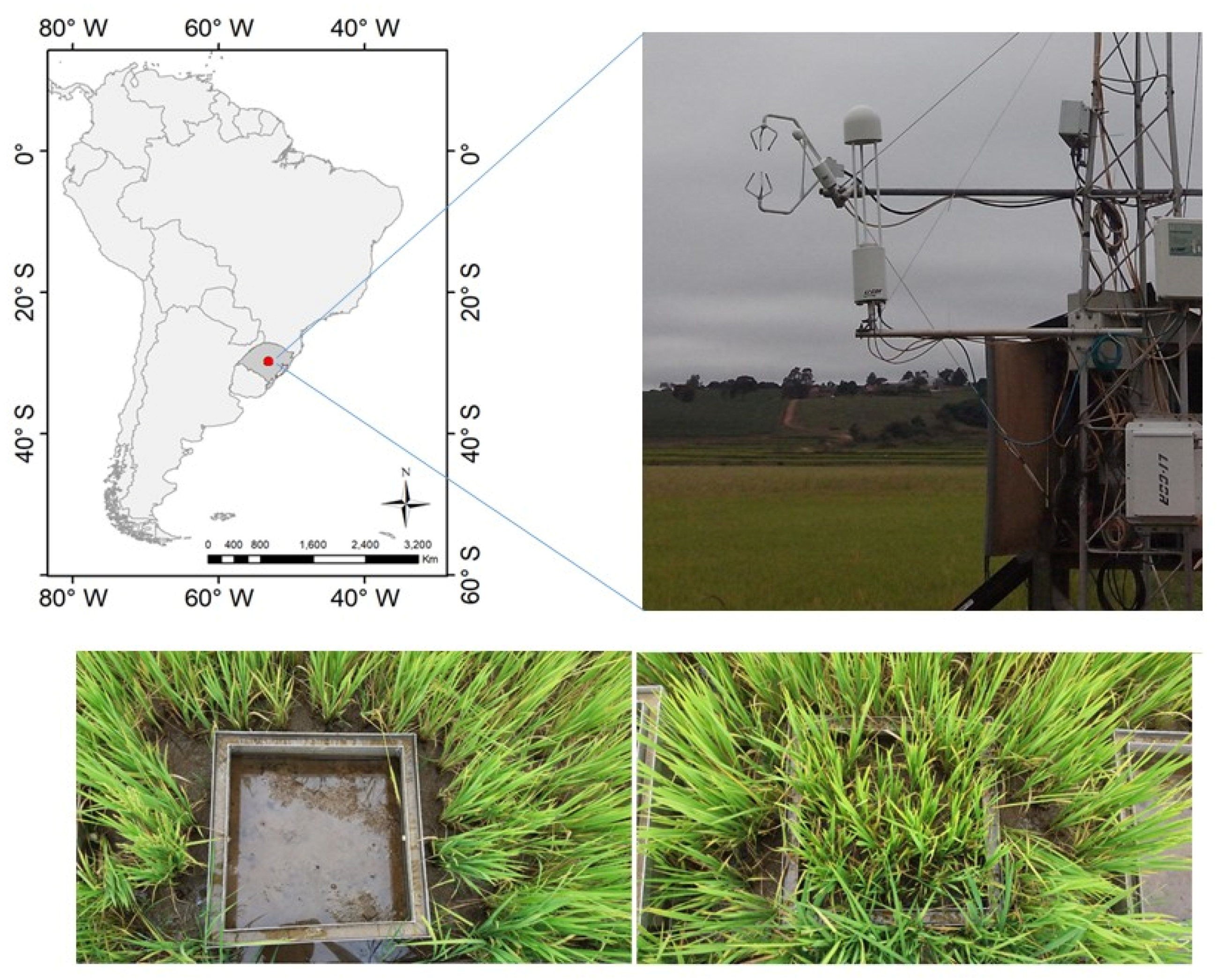 Sustainability 13 11336 g001 Sustainability 13 11336 g001