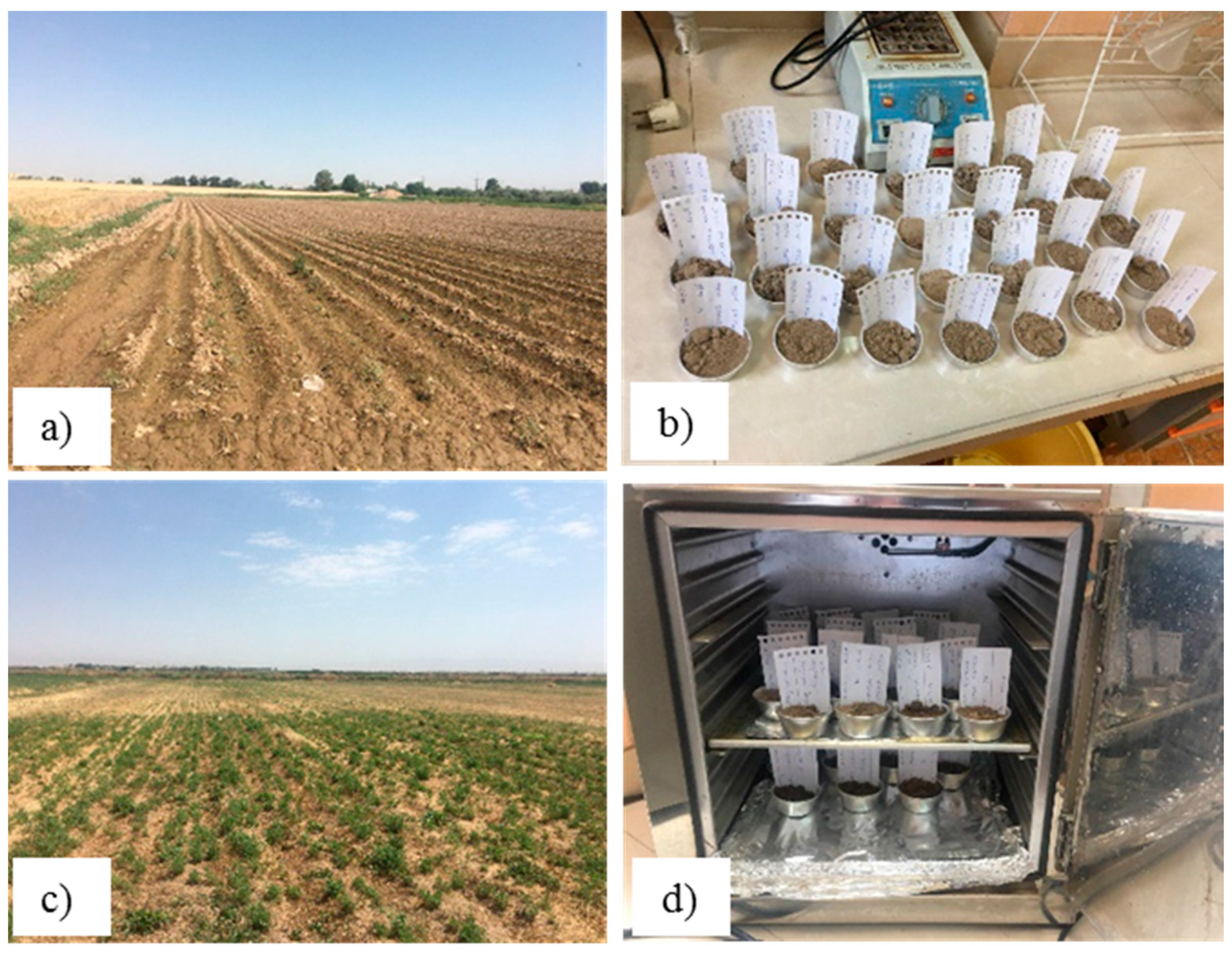 Sustainability 13 11355 g004