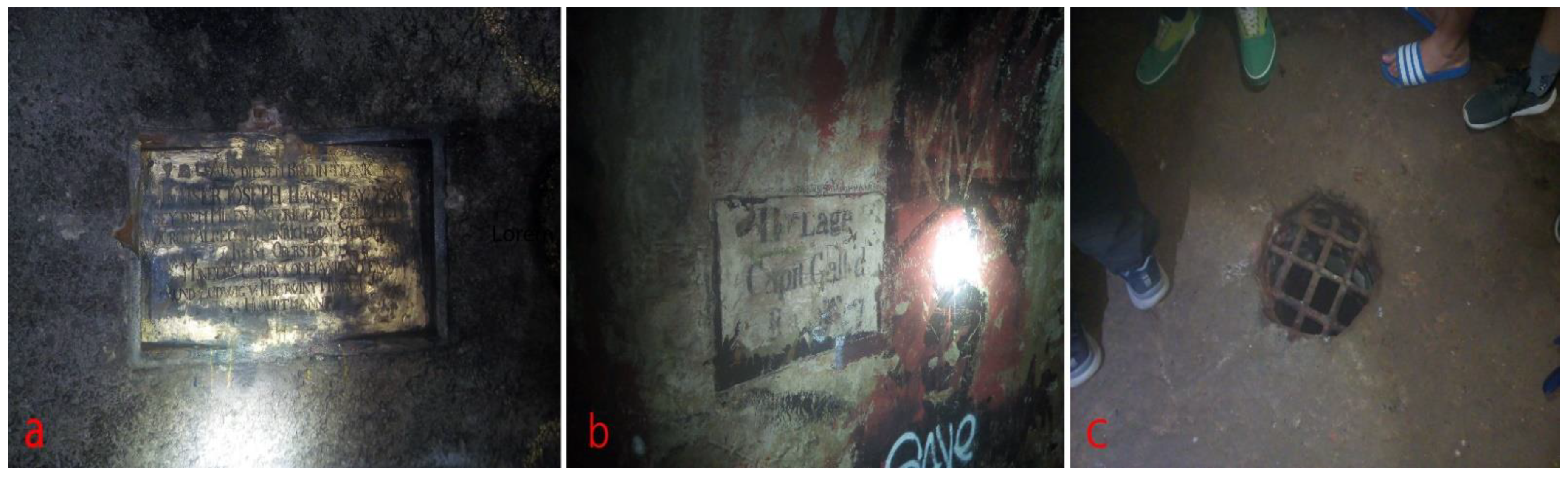 Sustainability 13 11356 g003 Sustainability 13 11356 g003