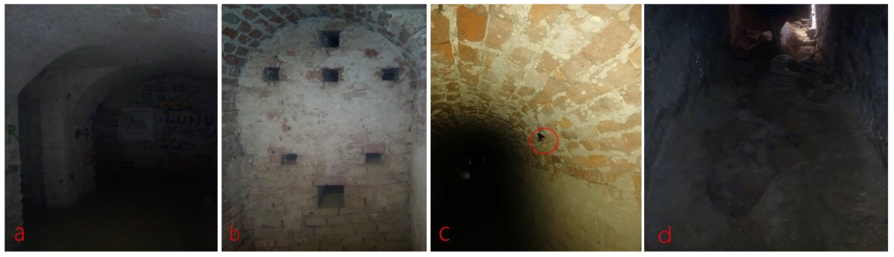 Sustainability 13 11356 g004 Sustainability 13 11356 g004