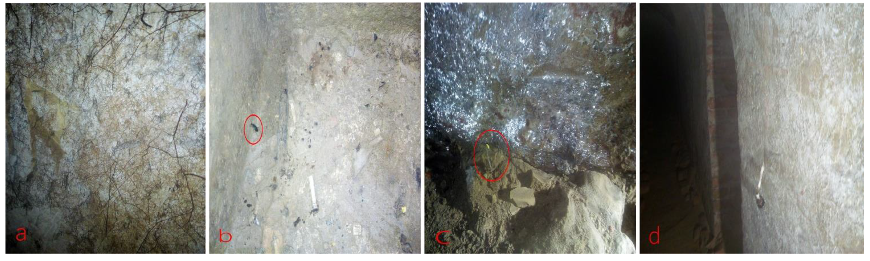 Sustainability 13 11356 g005 Sustainability 13 11356 g005