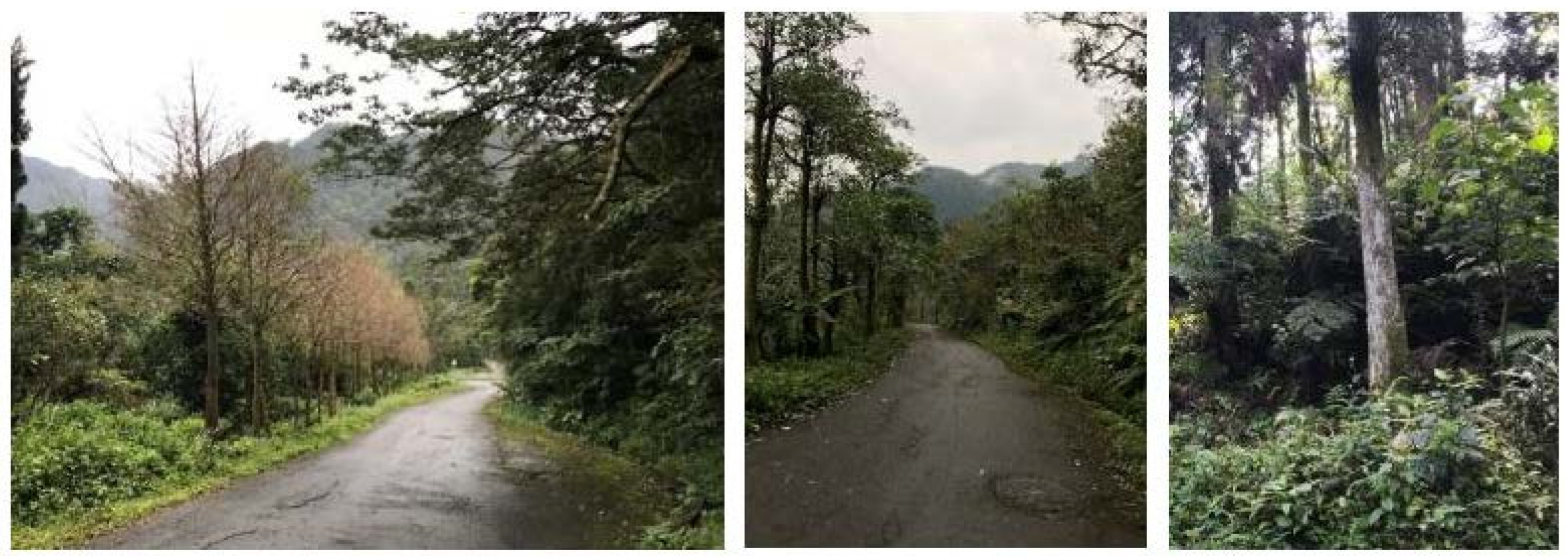 Sustainability 13 11370 g002 550