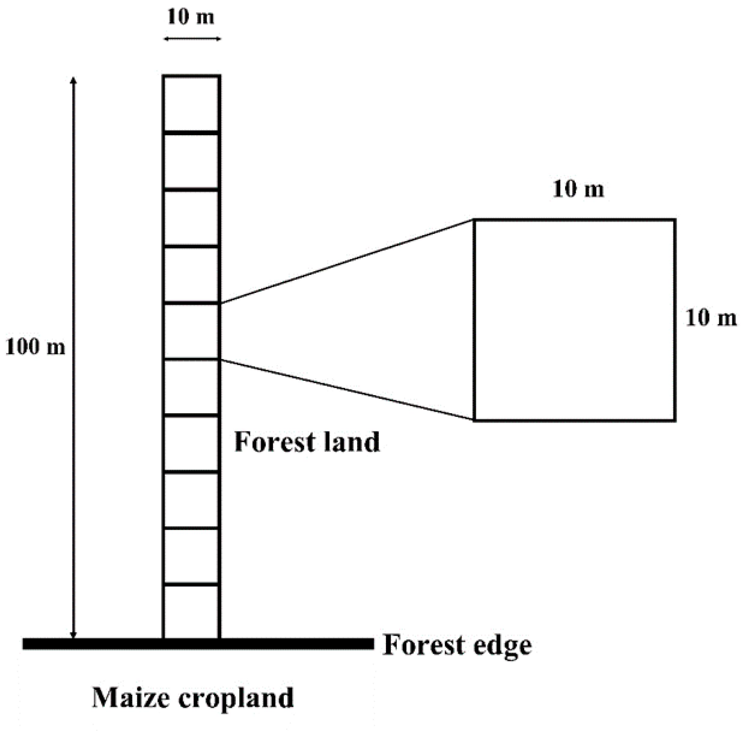 Sustainability 13 11416 g002