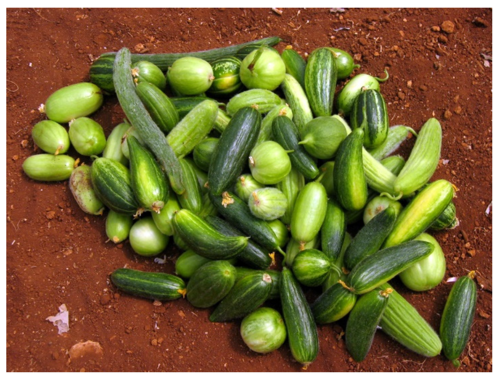 Sustainability 13 11425 g001 550