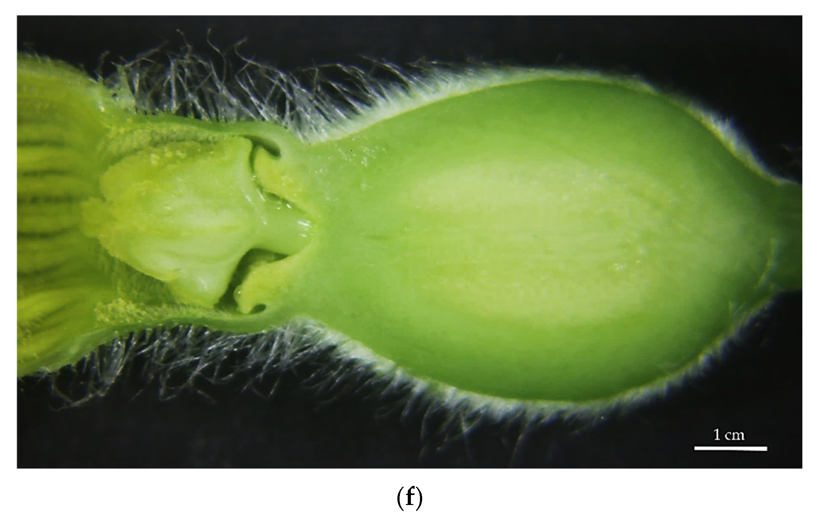 Sustainability 13 11425 g006b 550