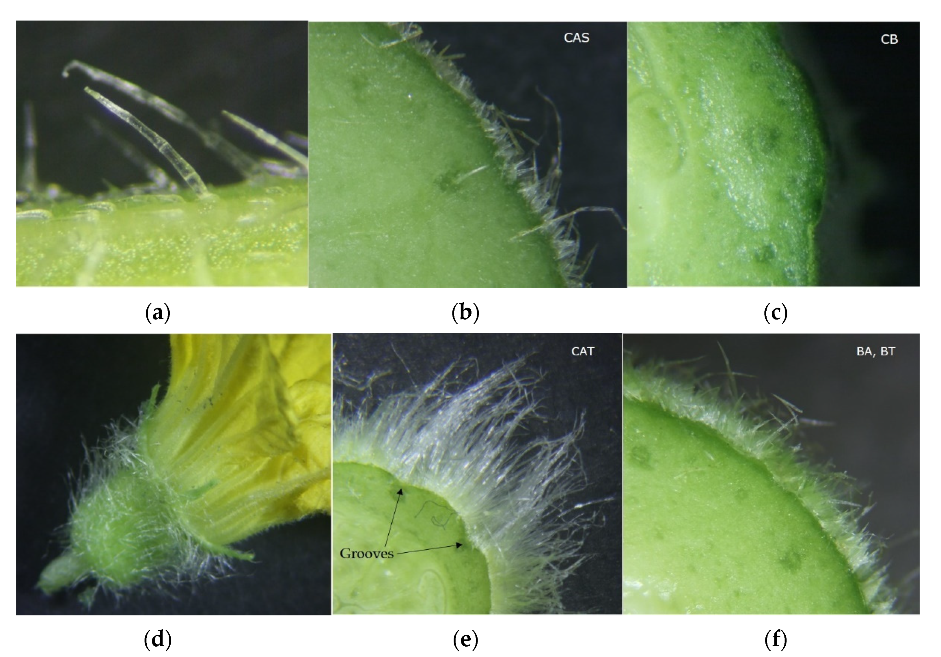 Sustainability 13 11425 g007 550