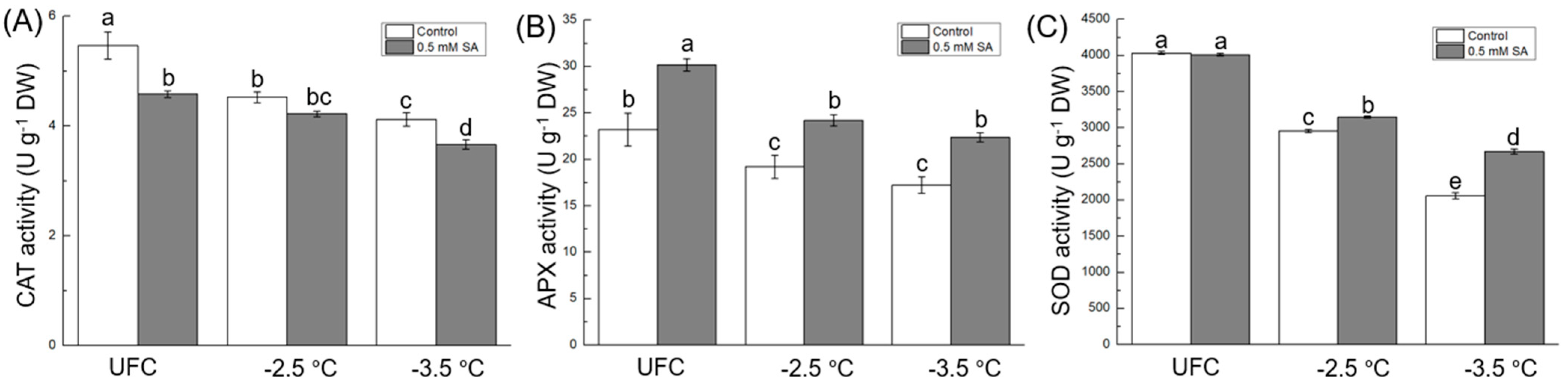 Sustainability 13 11437 g004
