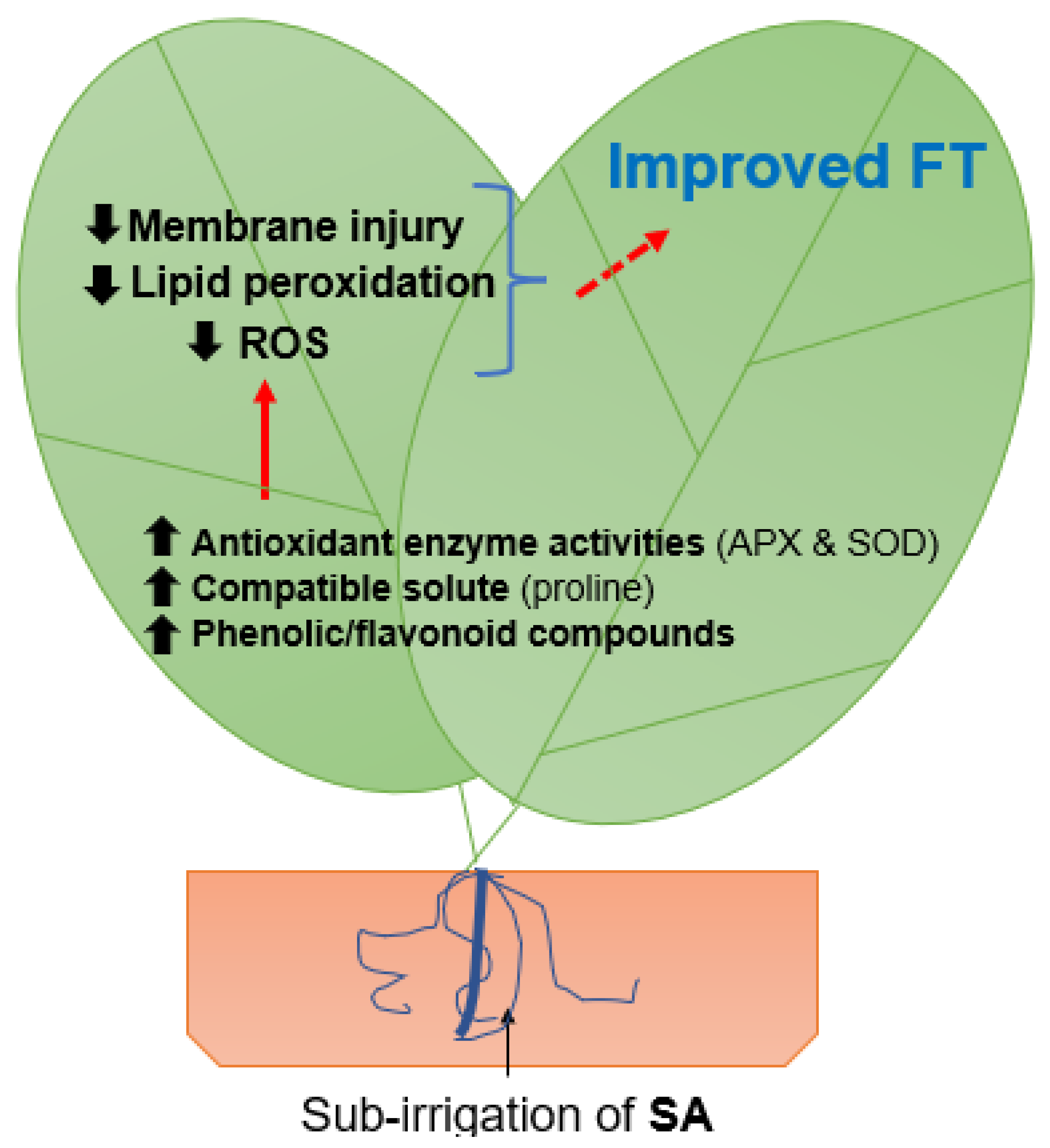 Sustainability 13 11437 g006