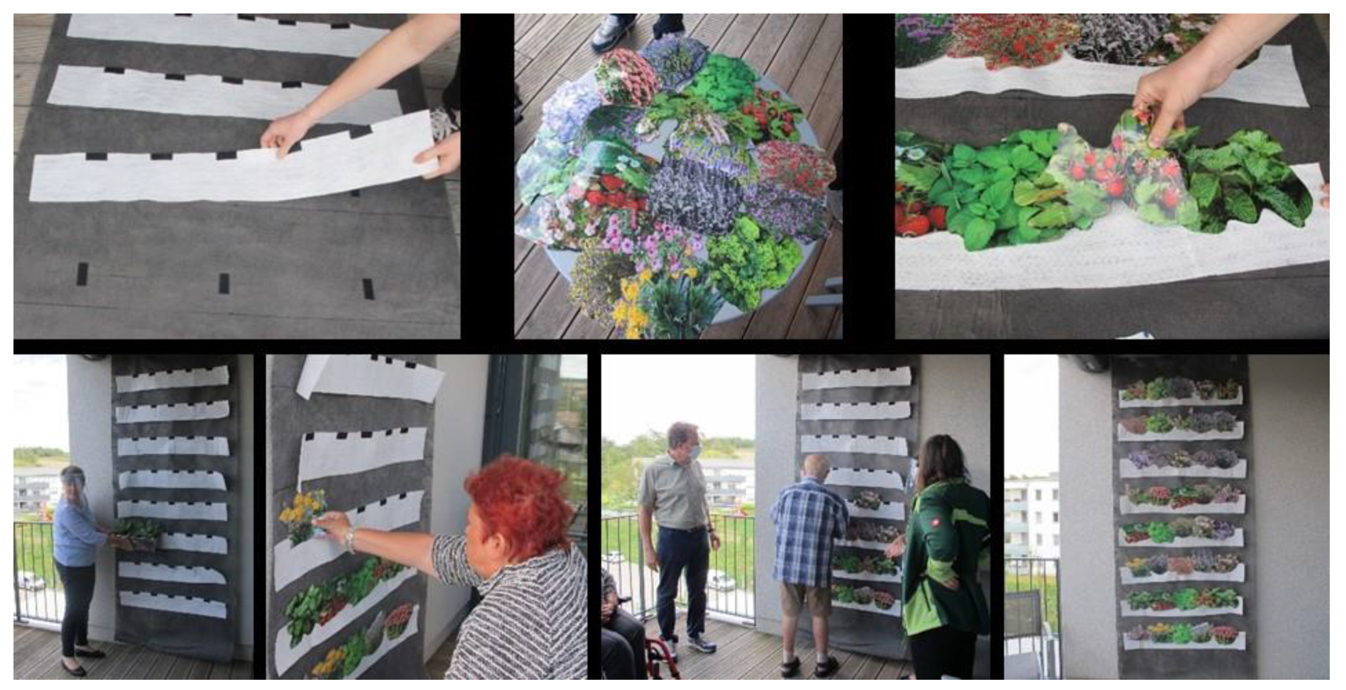 Sustainability 13 11469 g005 550