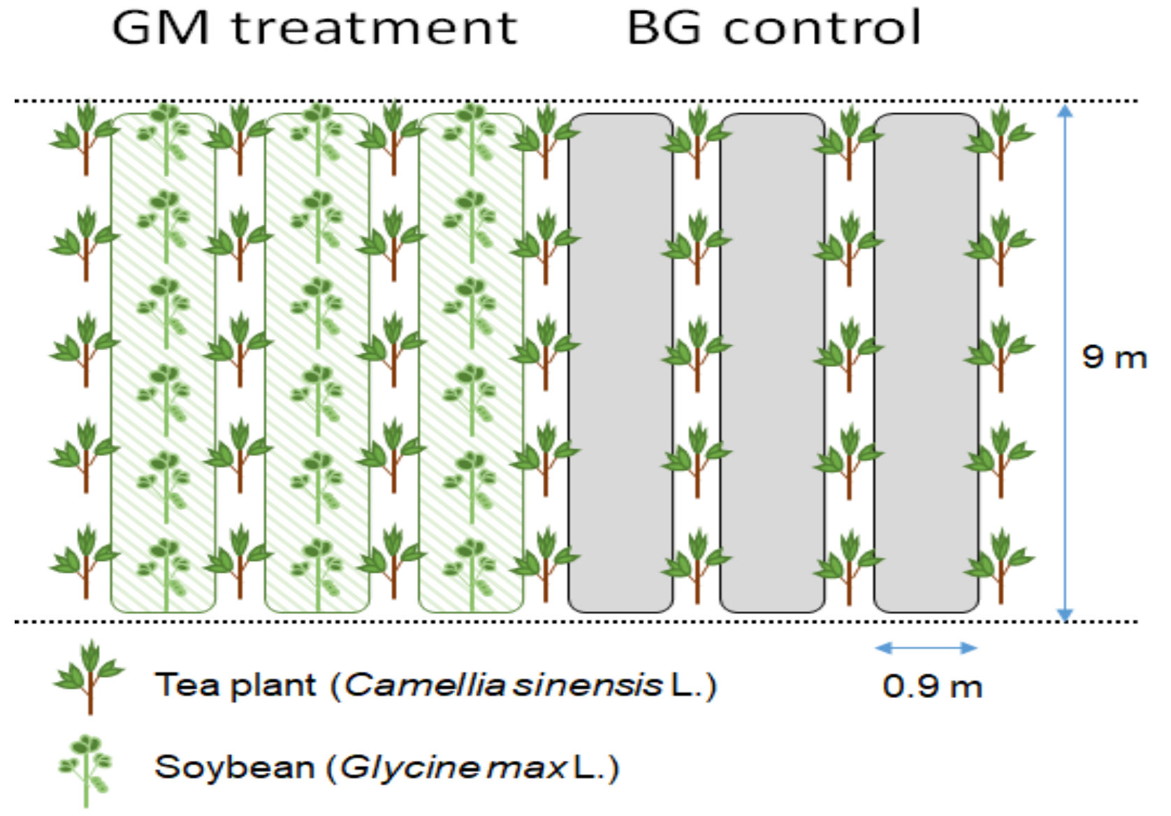Sustainability 13 11478 g001