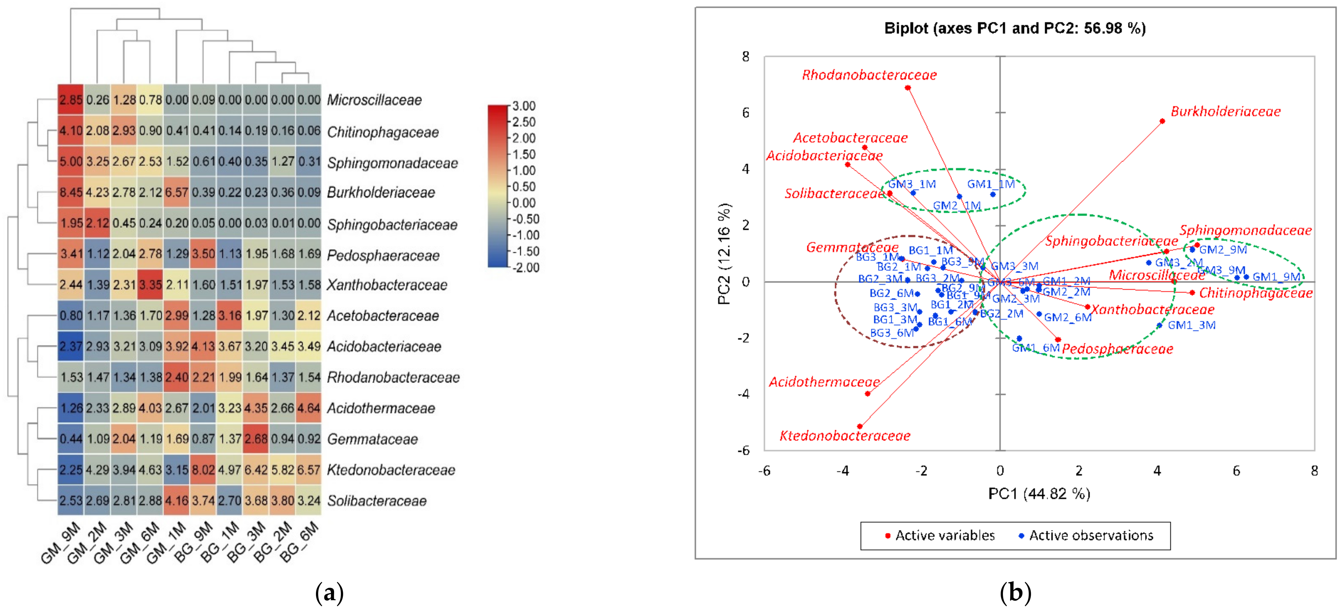 Sustainability 13 11478 g005