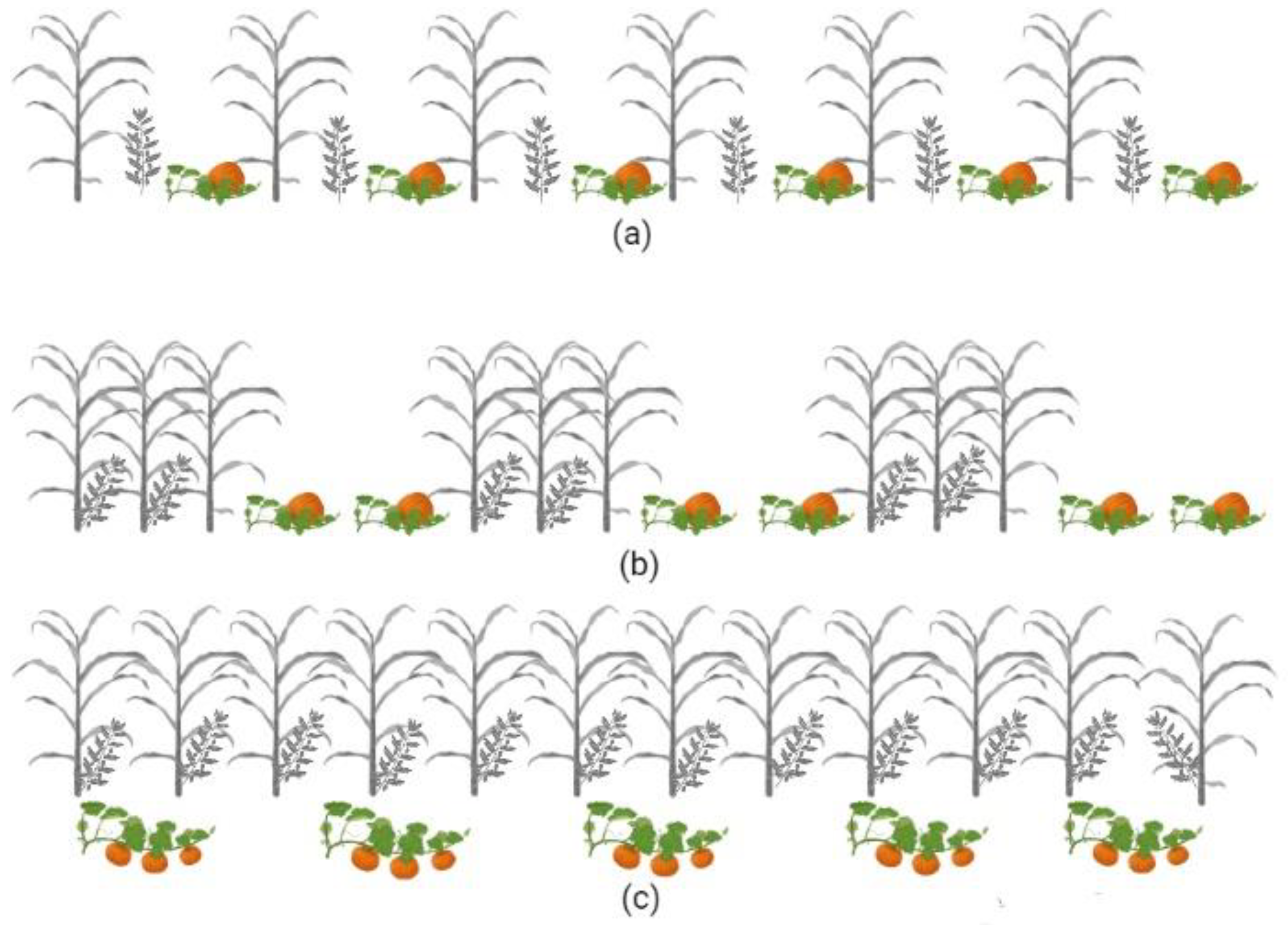Sustainability 13 11503 g002