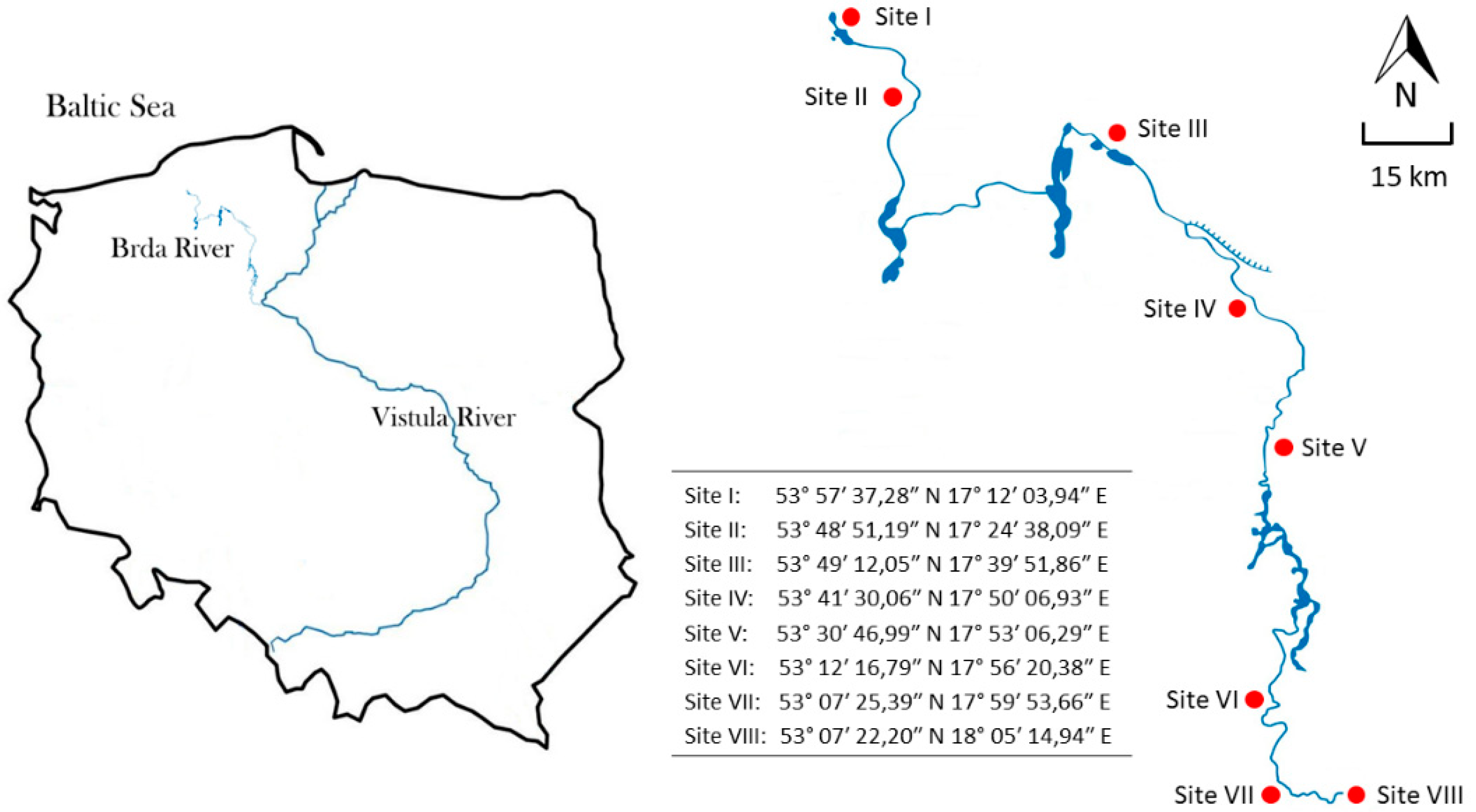 Sustainability 13 11518 g001