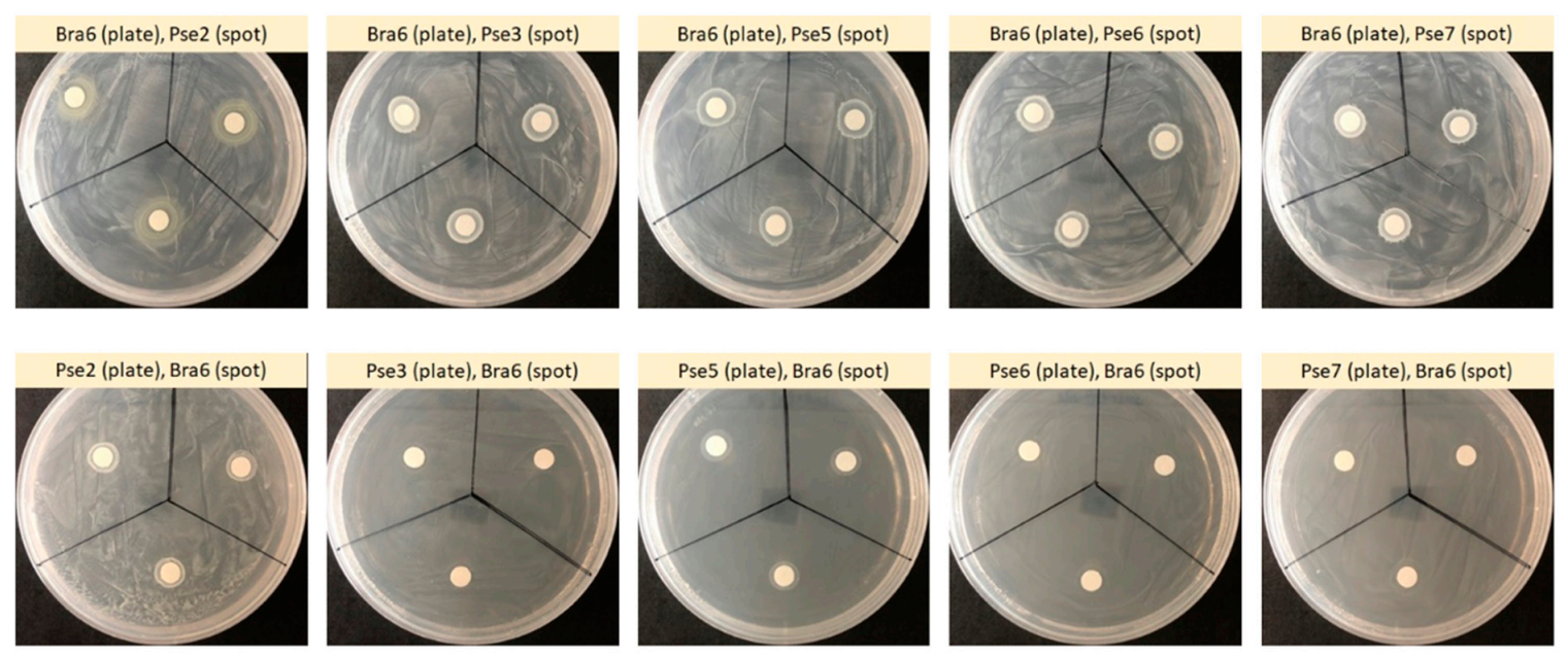 Sustainability 13 11539 g002 550