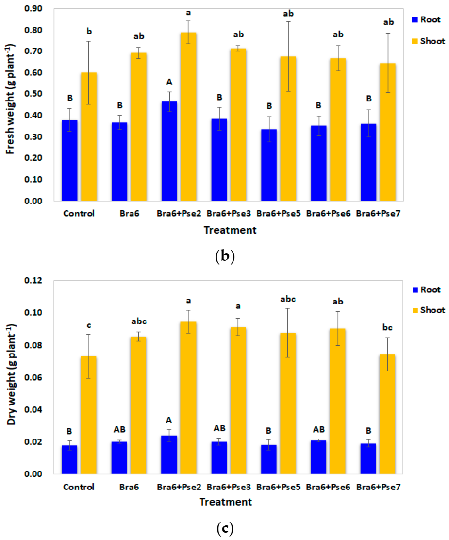 Sustainability 13 11539 g003b 550