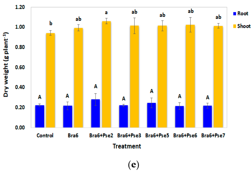 Sustainability 13 11539 g004b 550