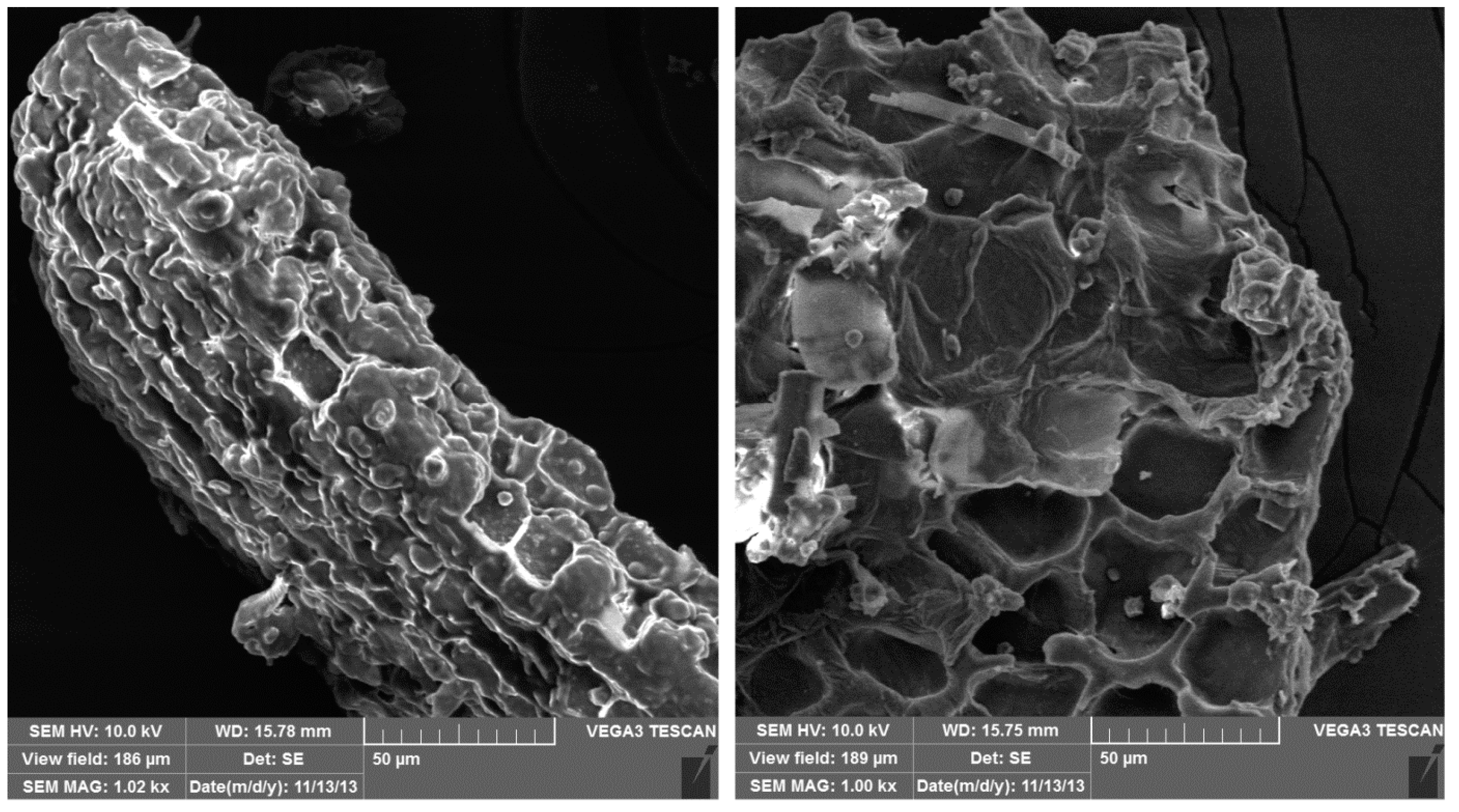 Sustainability 13 11560 g003