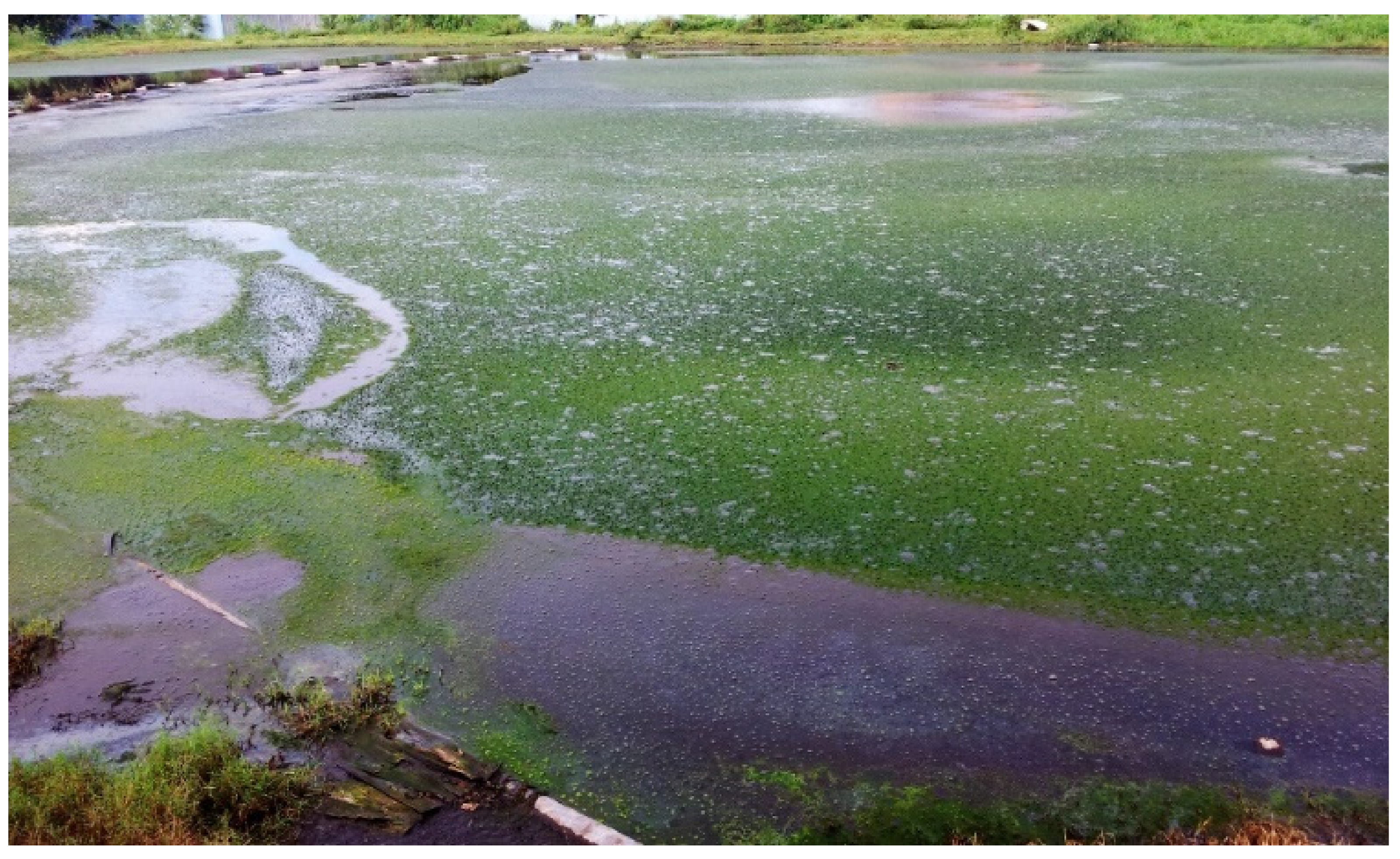 Sustainability 13 11562 g001