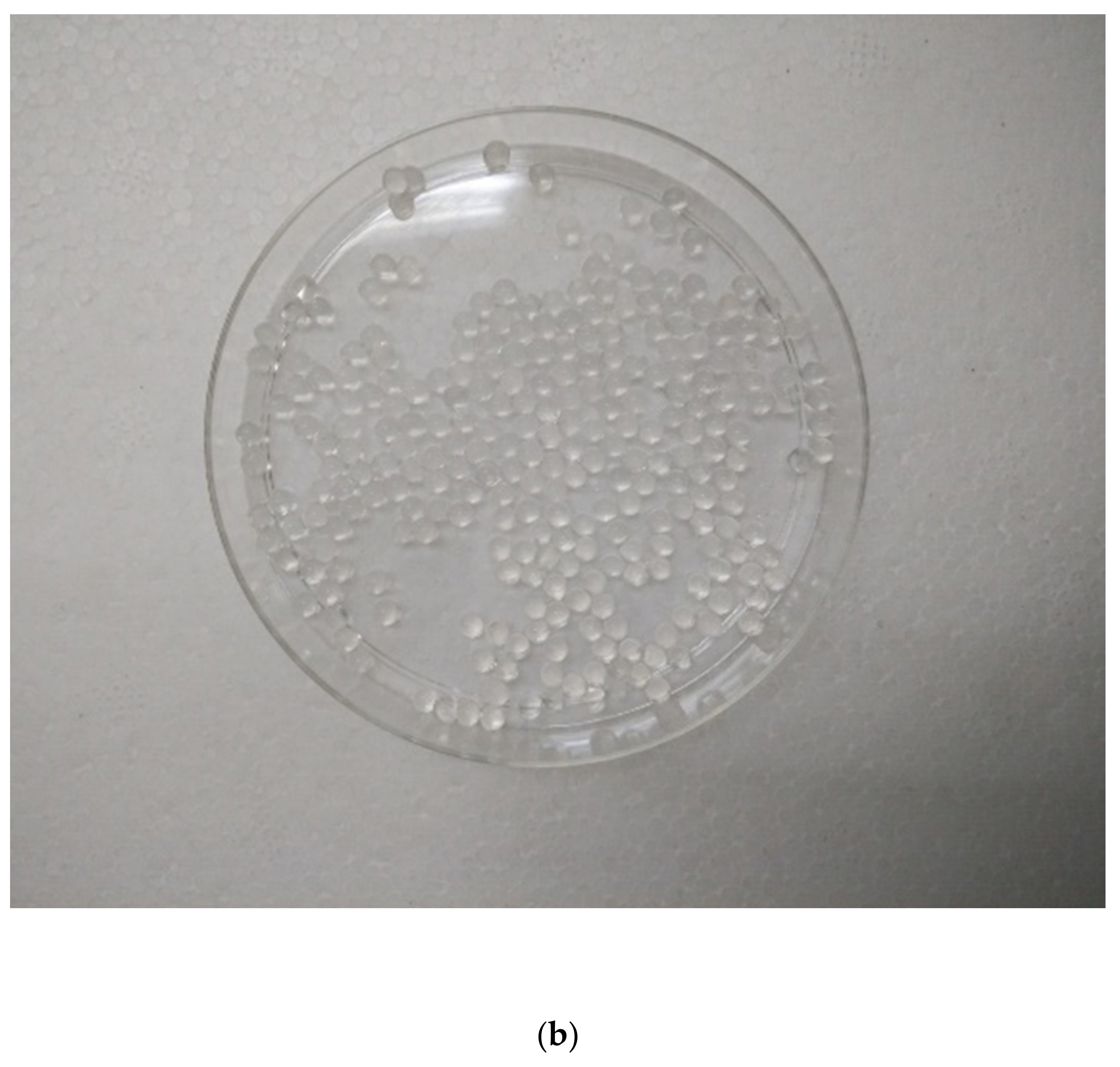 Sustainability 13 11562 g003b