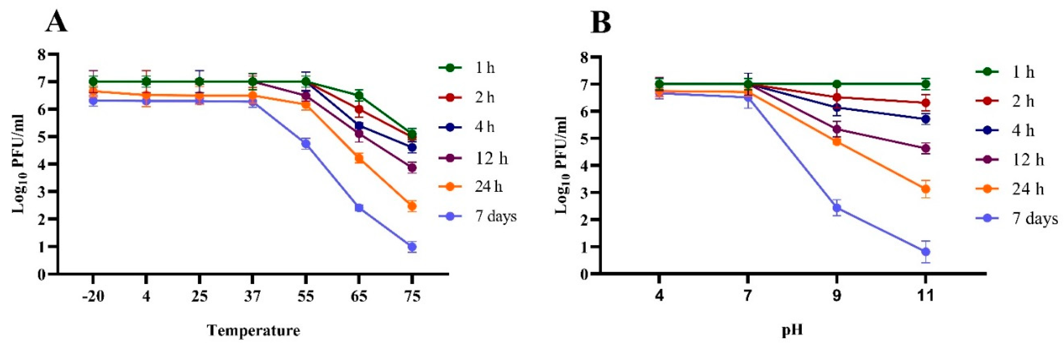Sustainability 13 11602 g002