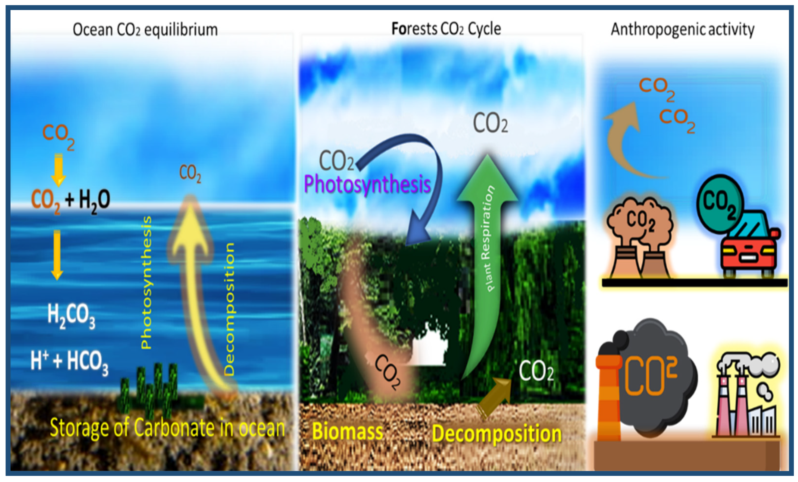 Sustainability 13 11625 g003