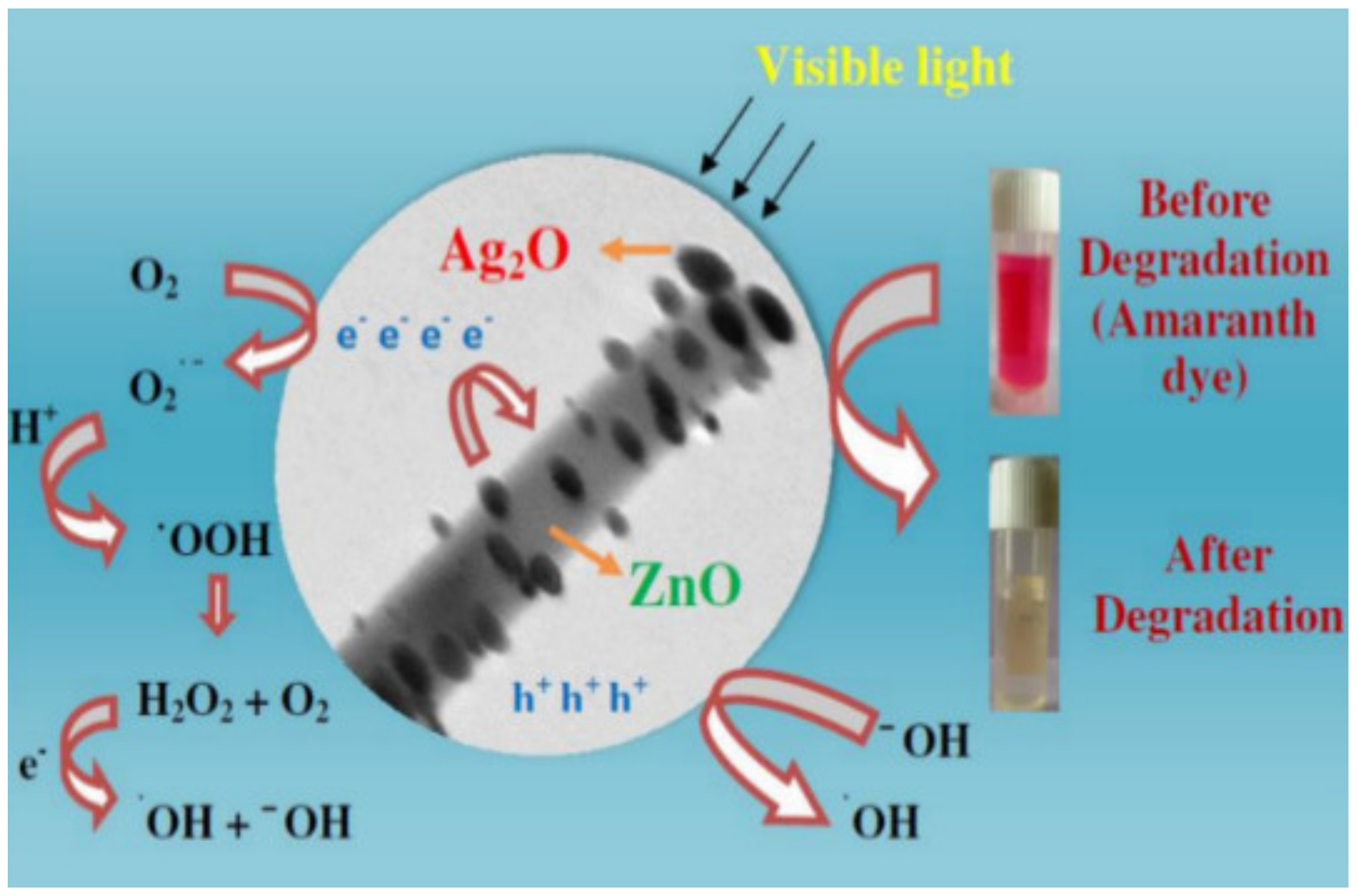 Sustainability 13 11676 g003