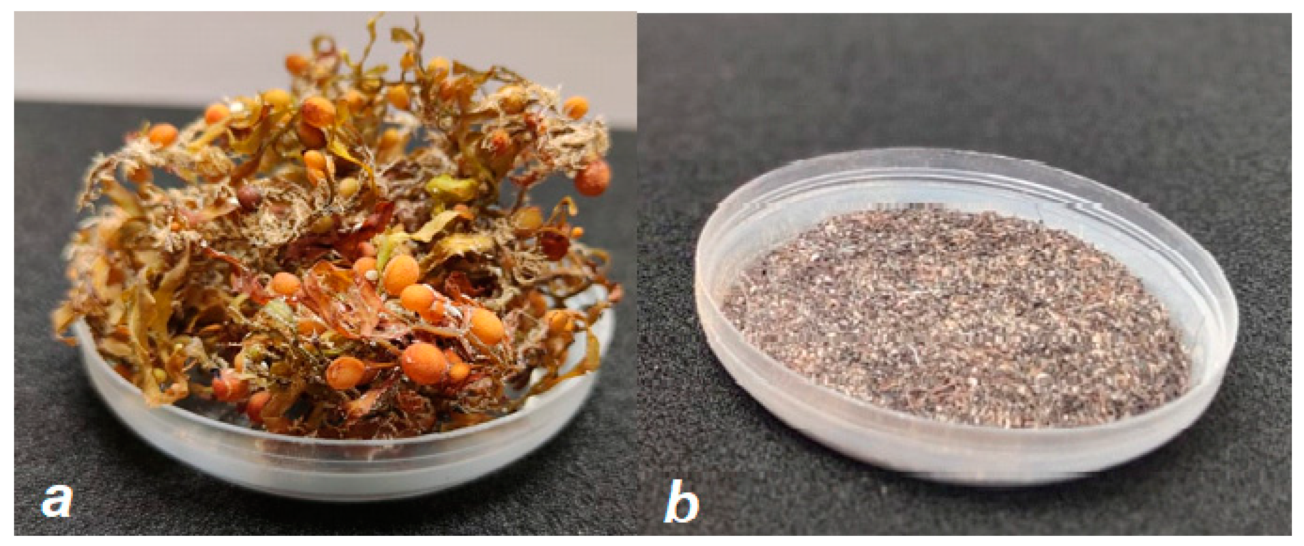 Sustainability 13 11734 g001