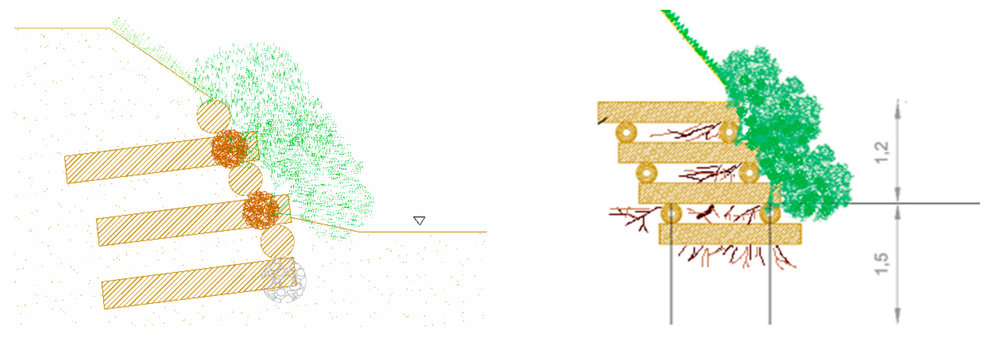 Sustainability Free FullText Improvement of the Plantation Success