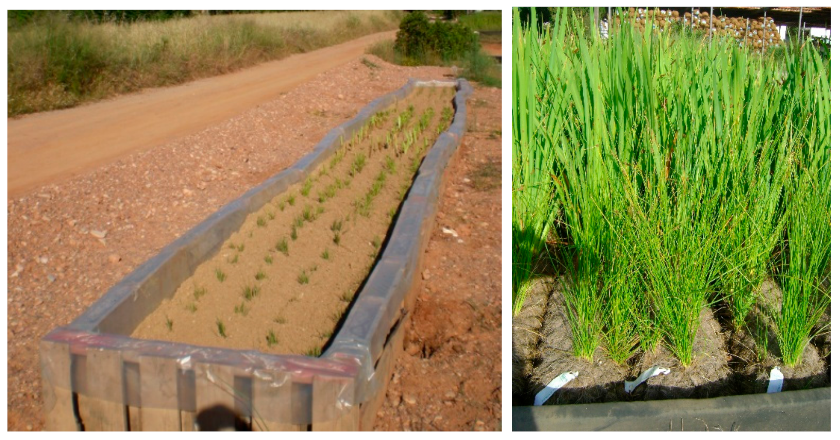 Sustainability 13 11785 g003 550