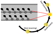 Sustainability 13 11791 i007