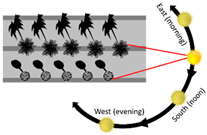 Sustainability 13 11791 i010