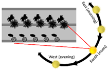 Sustainability 13 11791 i011