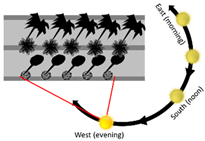 Sustainability 13 11791 i012