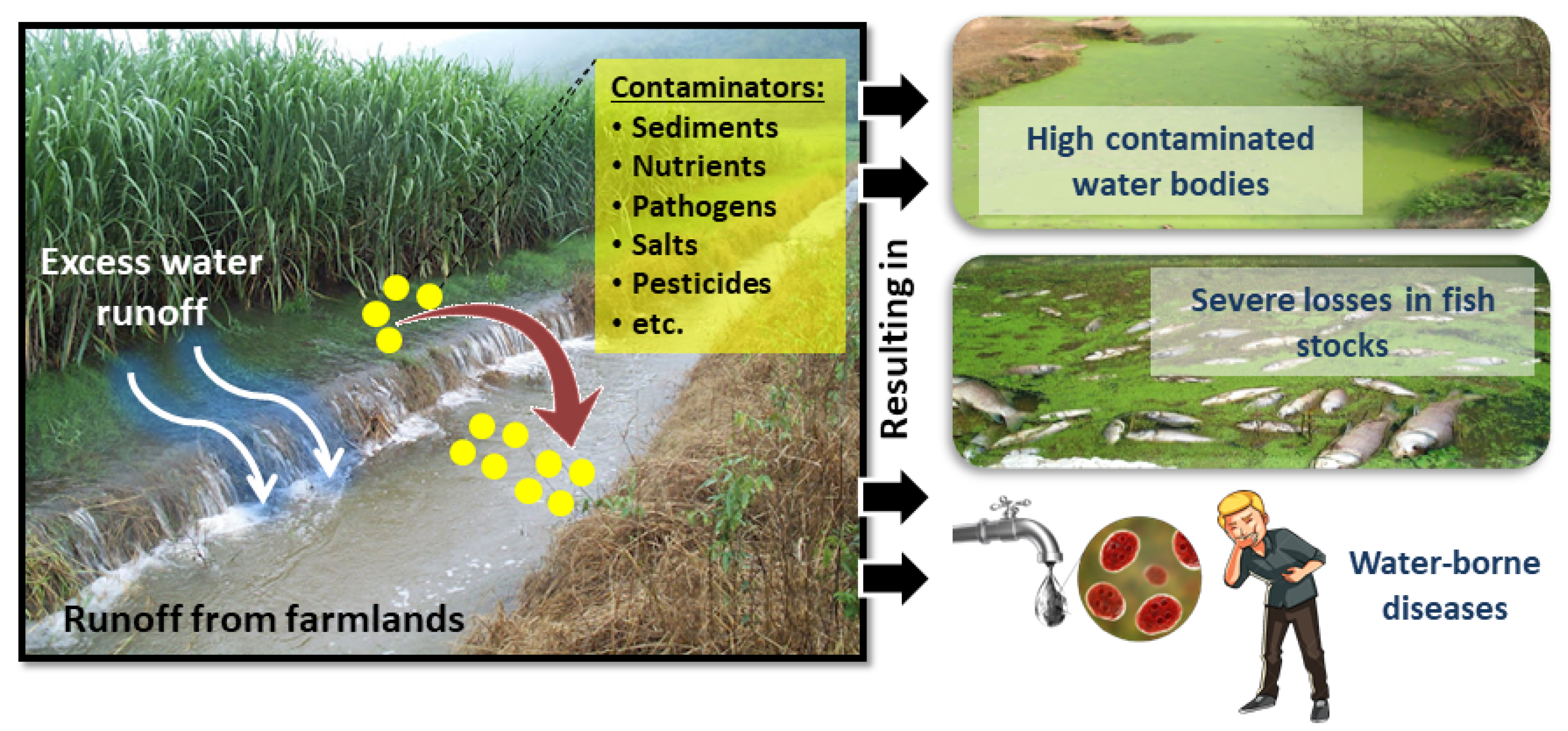 Sustainability 13 11802 g002